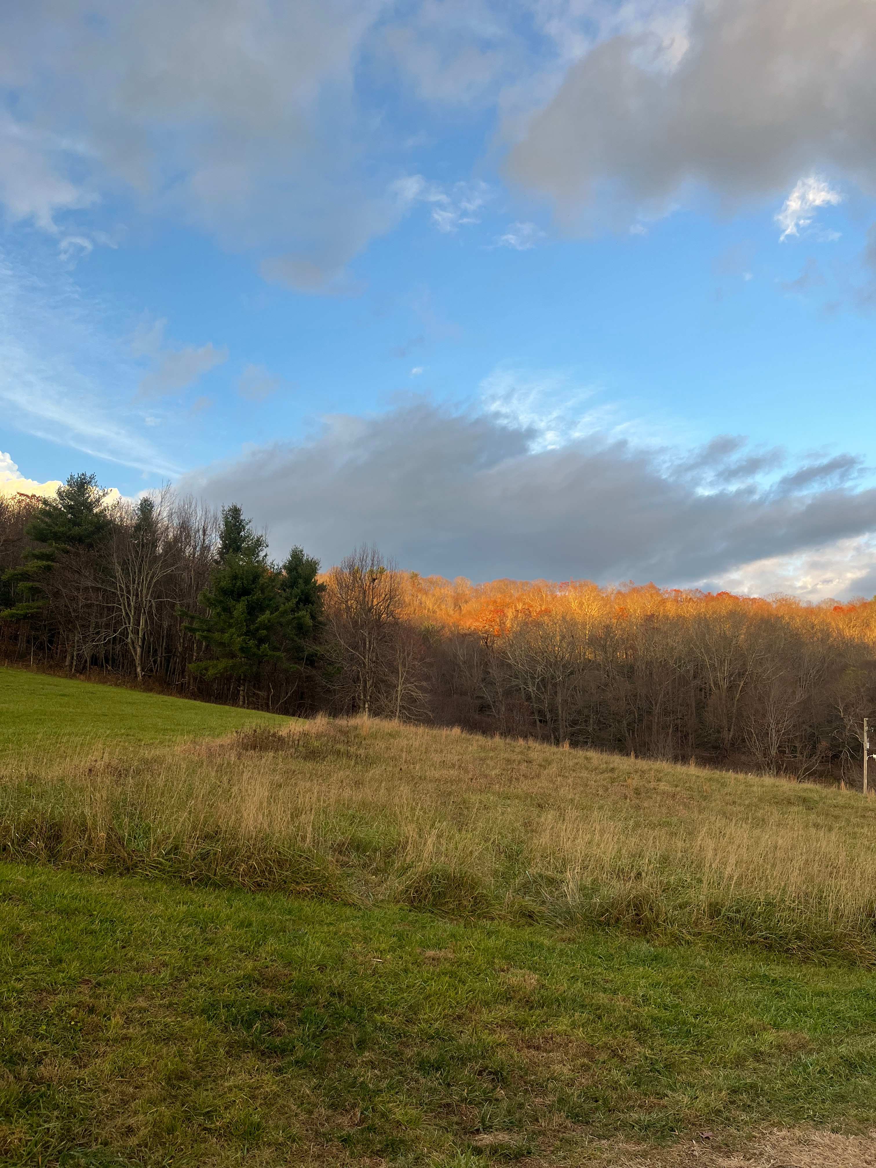 Country Meadows