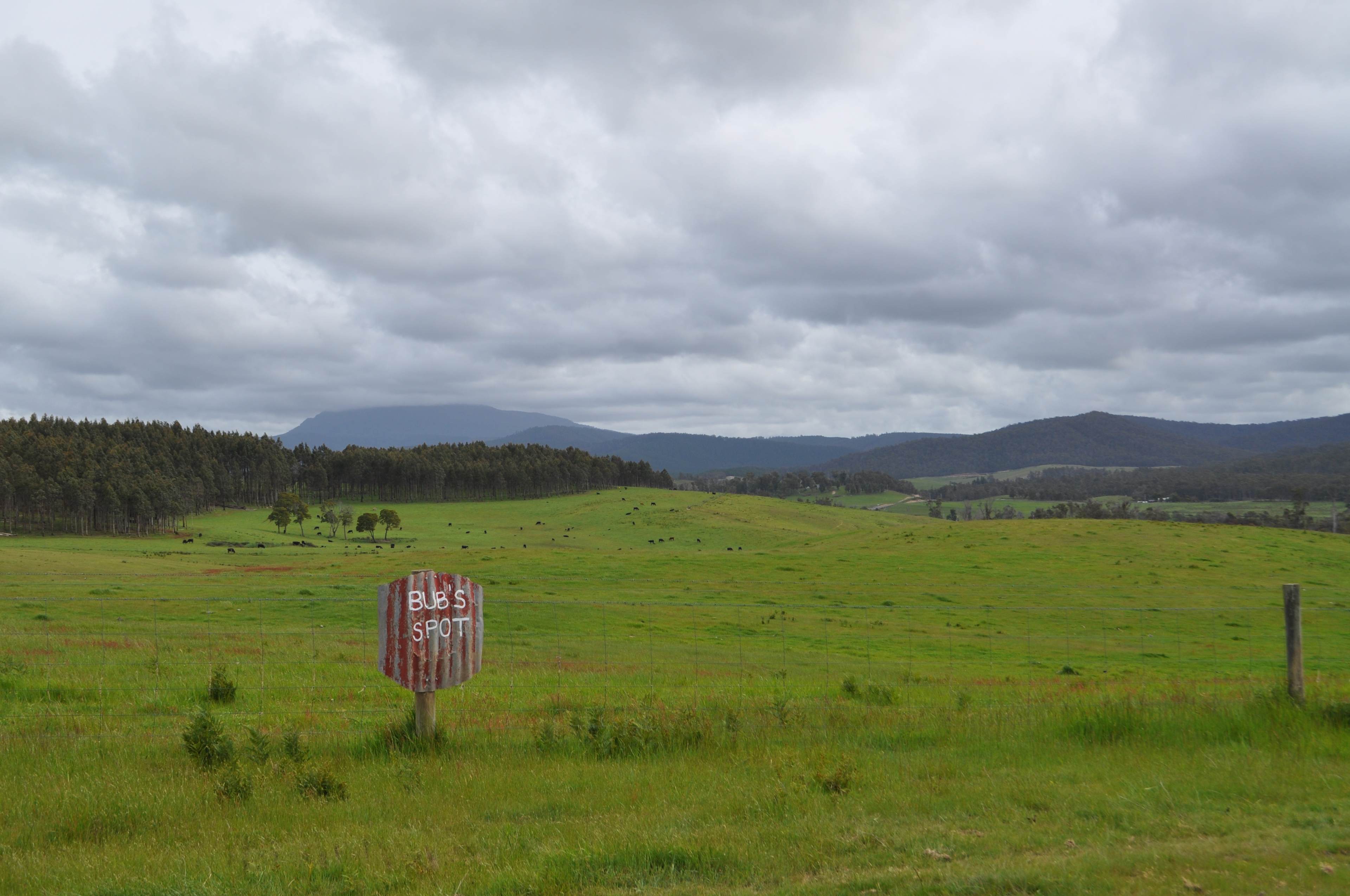 Mabel's Paddock RV Farm Stay