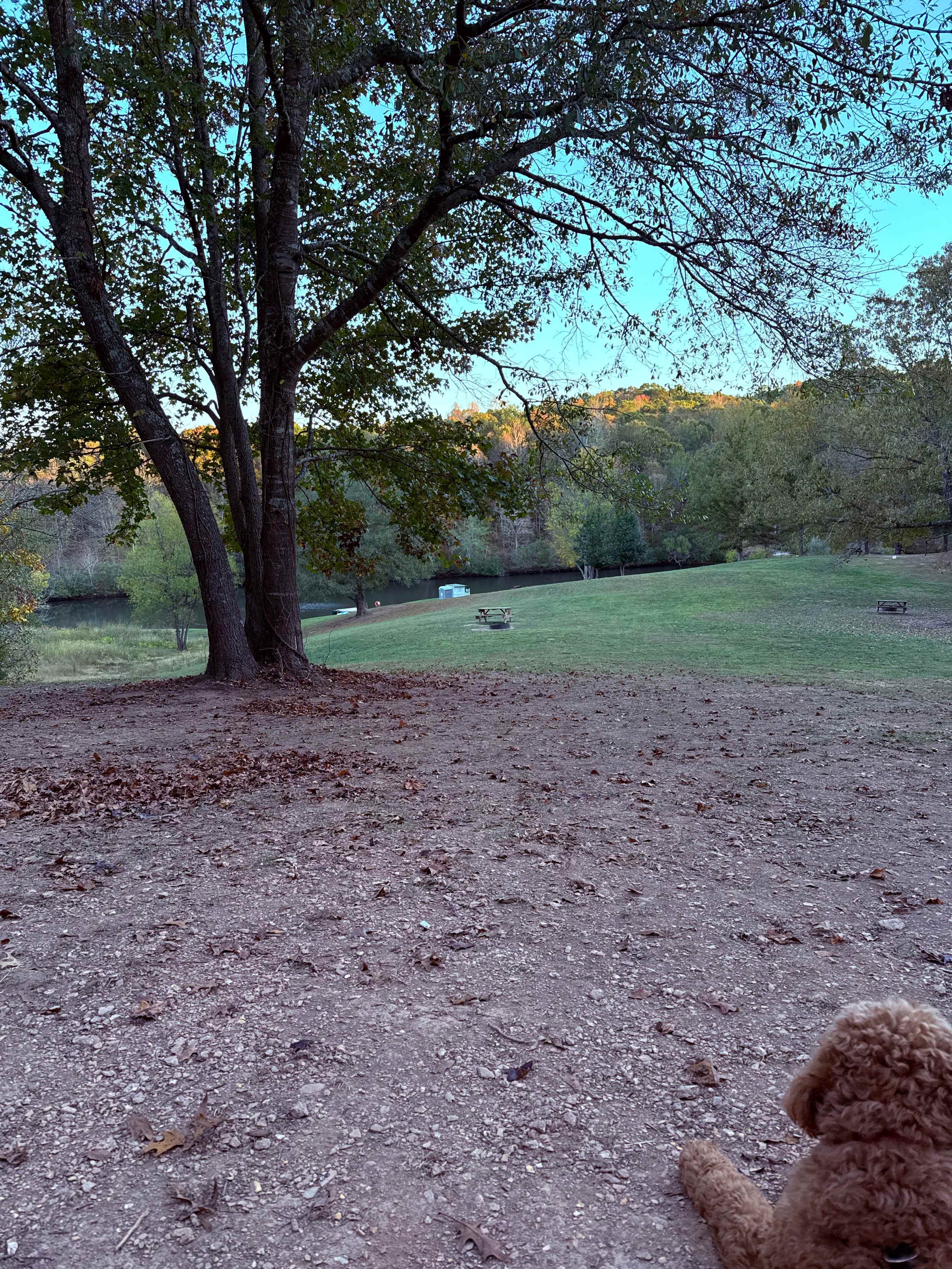Bohamia - Glamp/RV/Camp