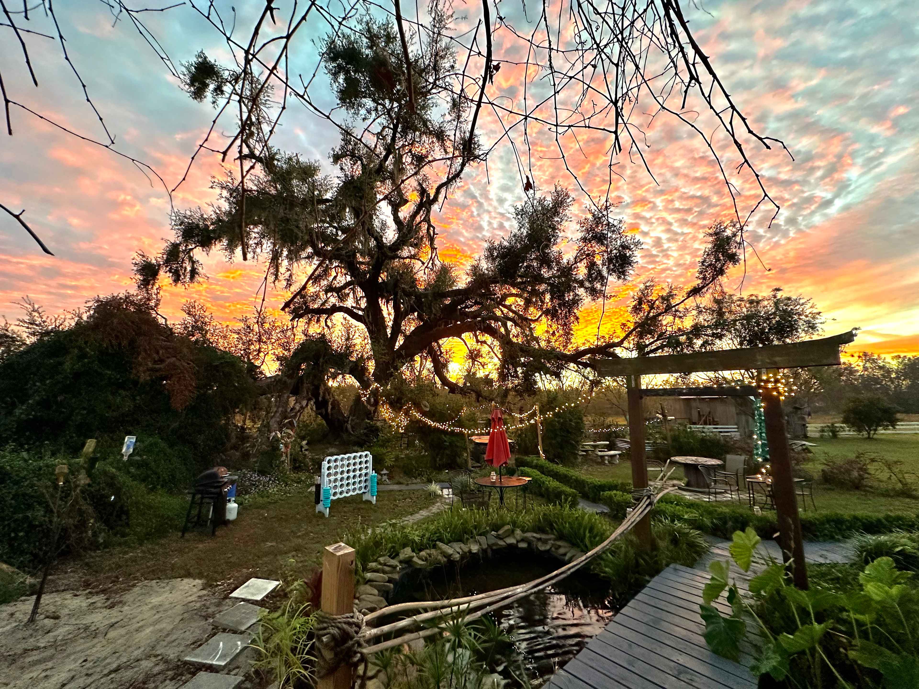 Kokomo Farms
