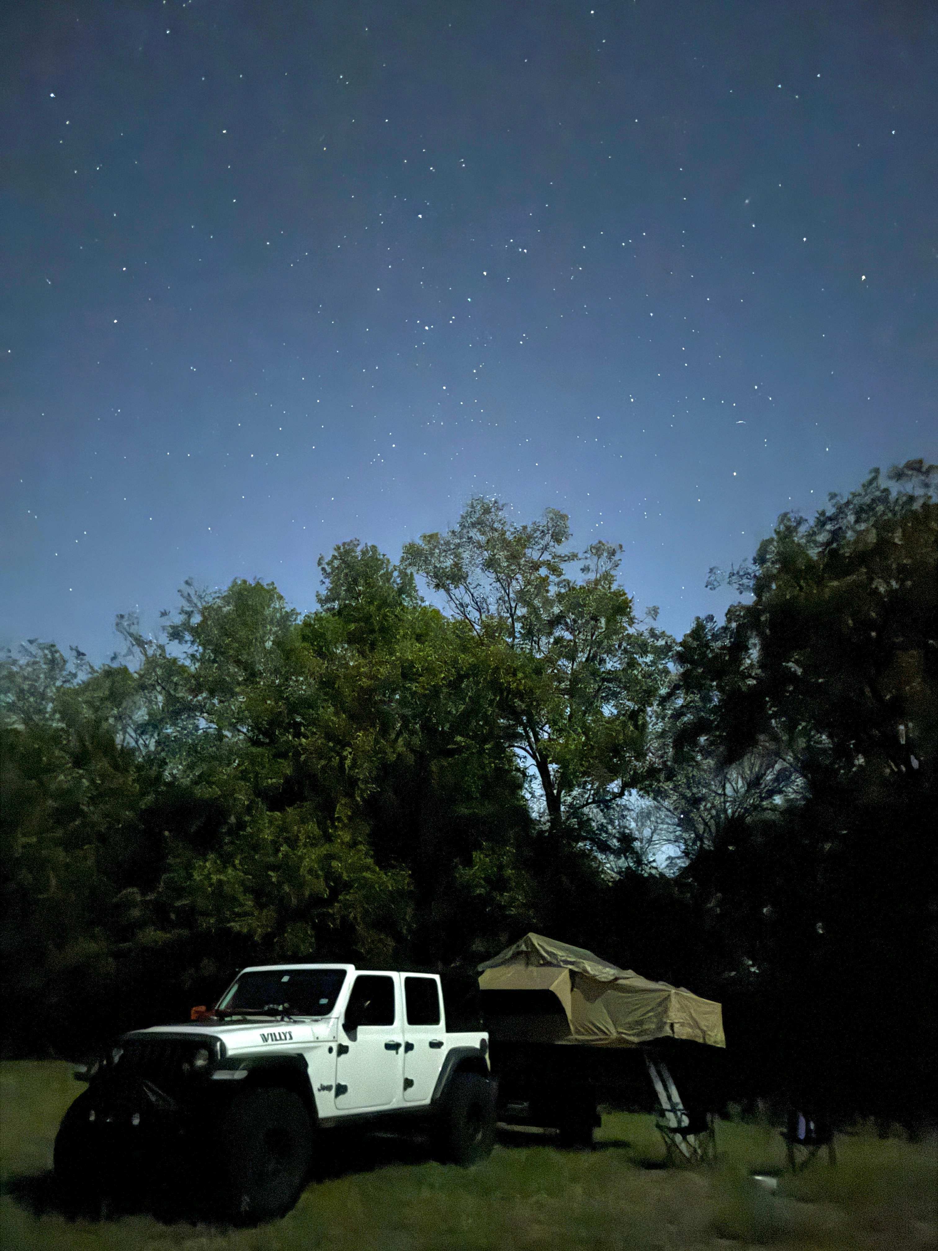Wild and Boujee Ranch