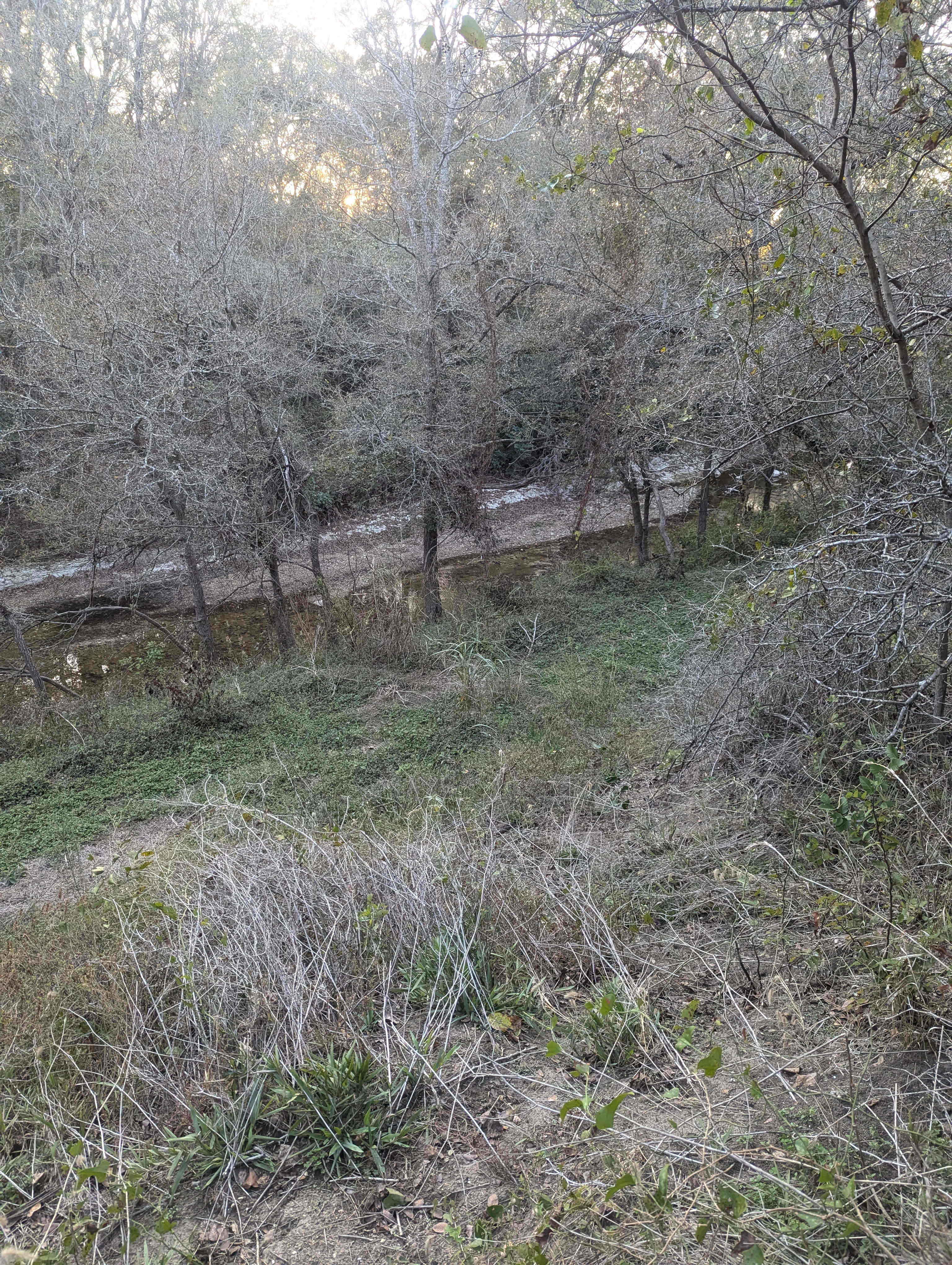 Rusty Acres