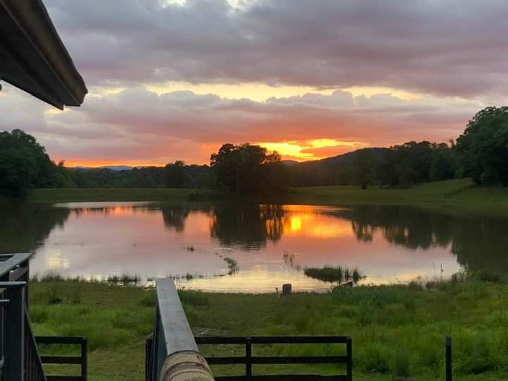Owls nest private camp