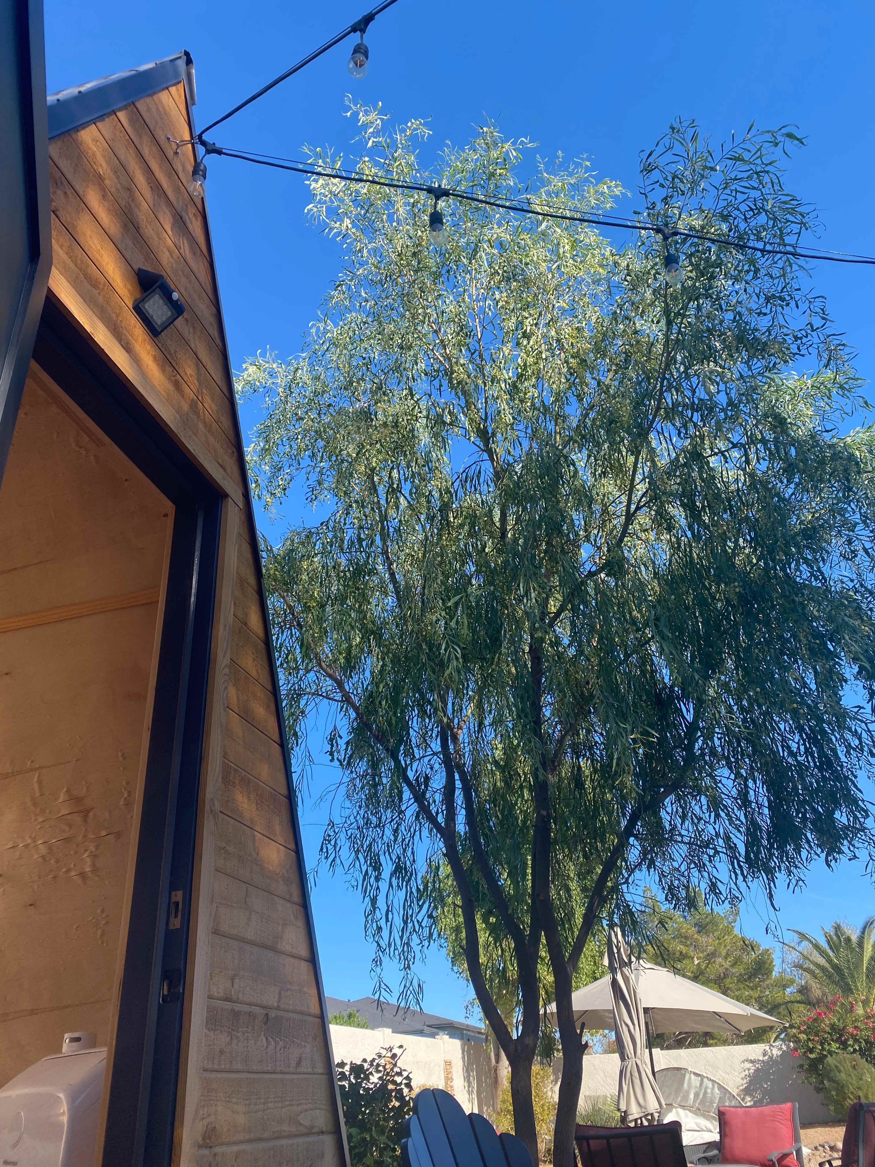 Phoenix Citi StarGazer A-Frame