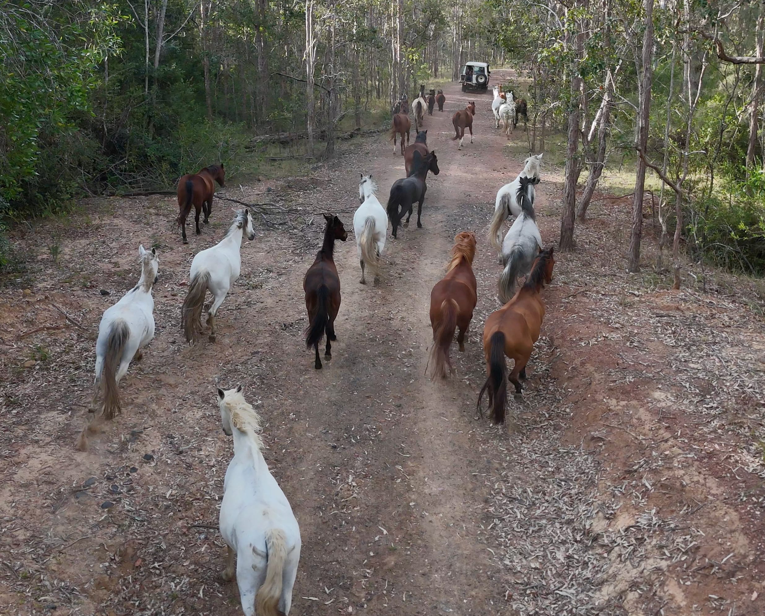 The Ranch on Clarence