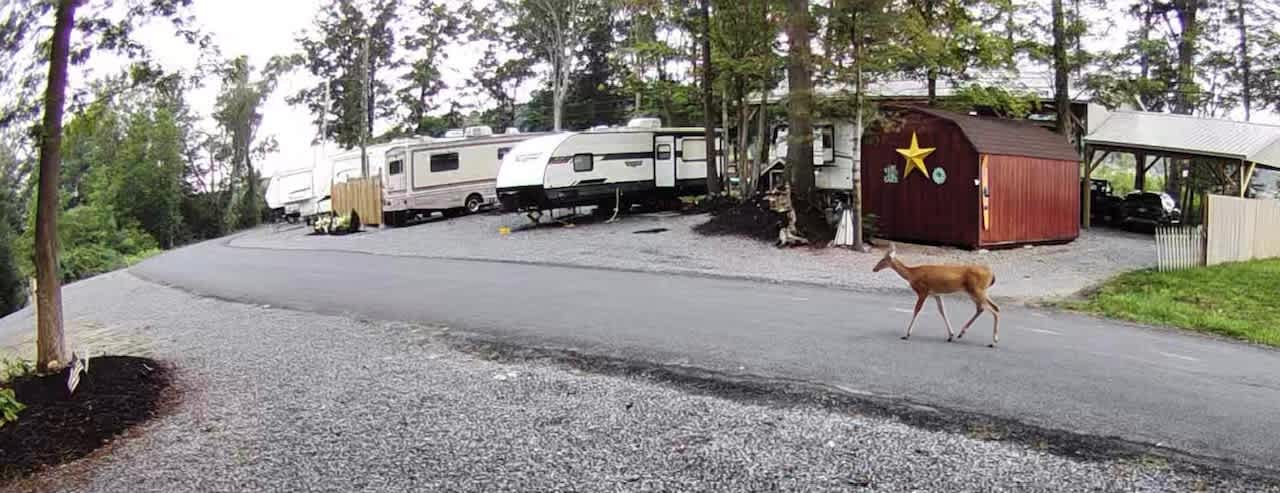 DayDreams Campground