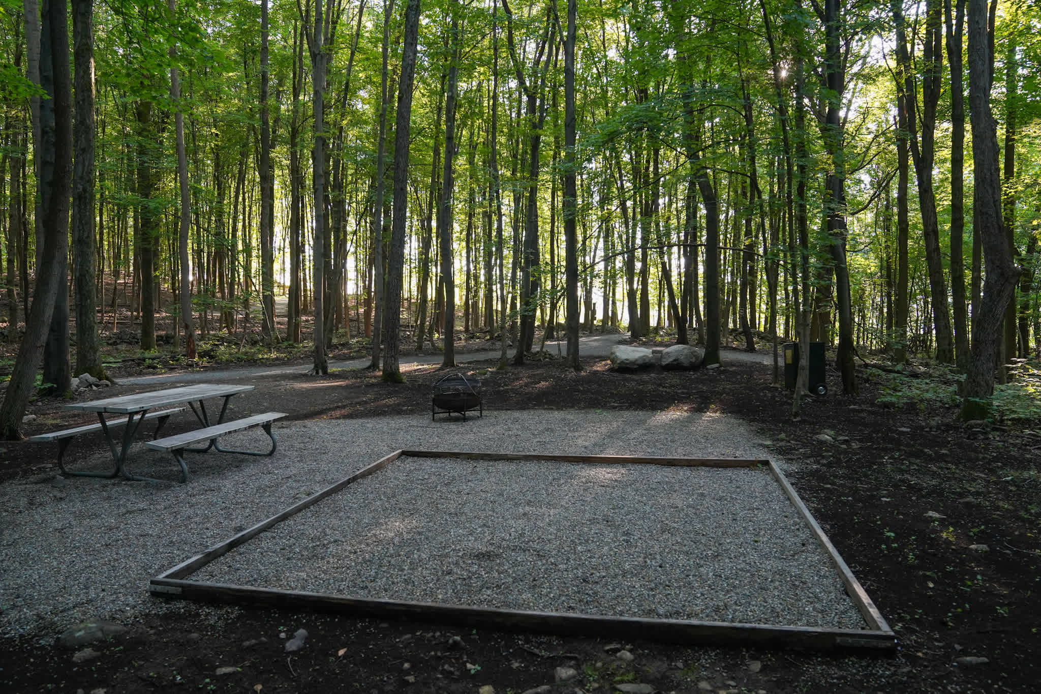 Picture of the site