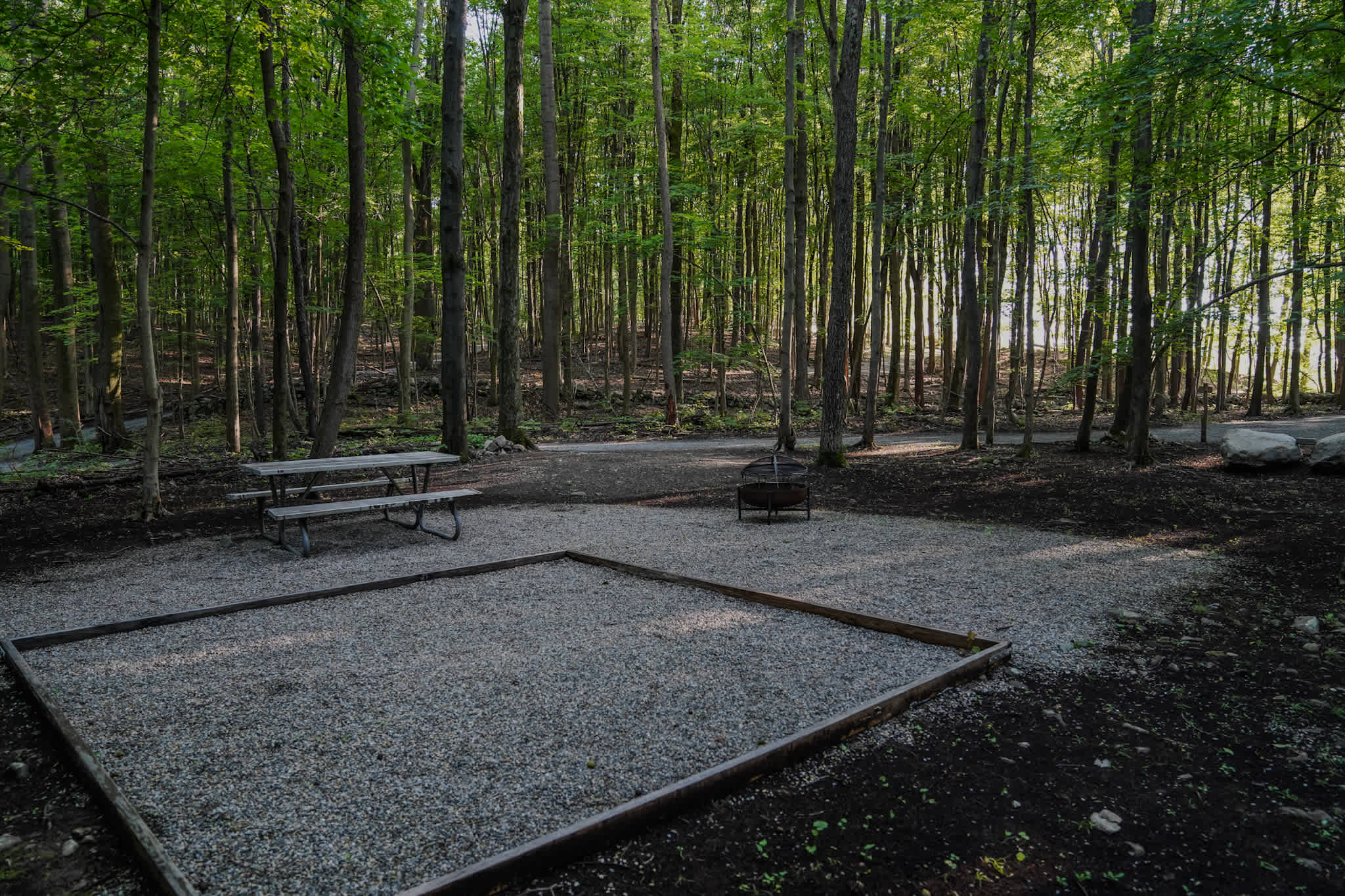 Picture of the site