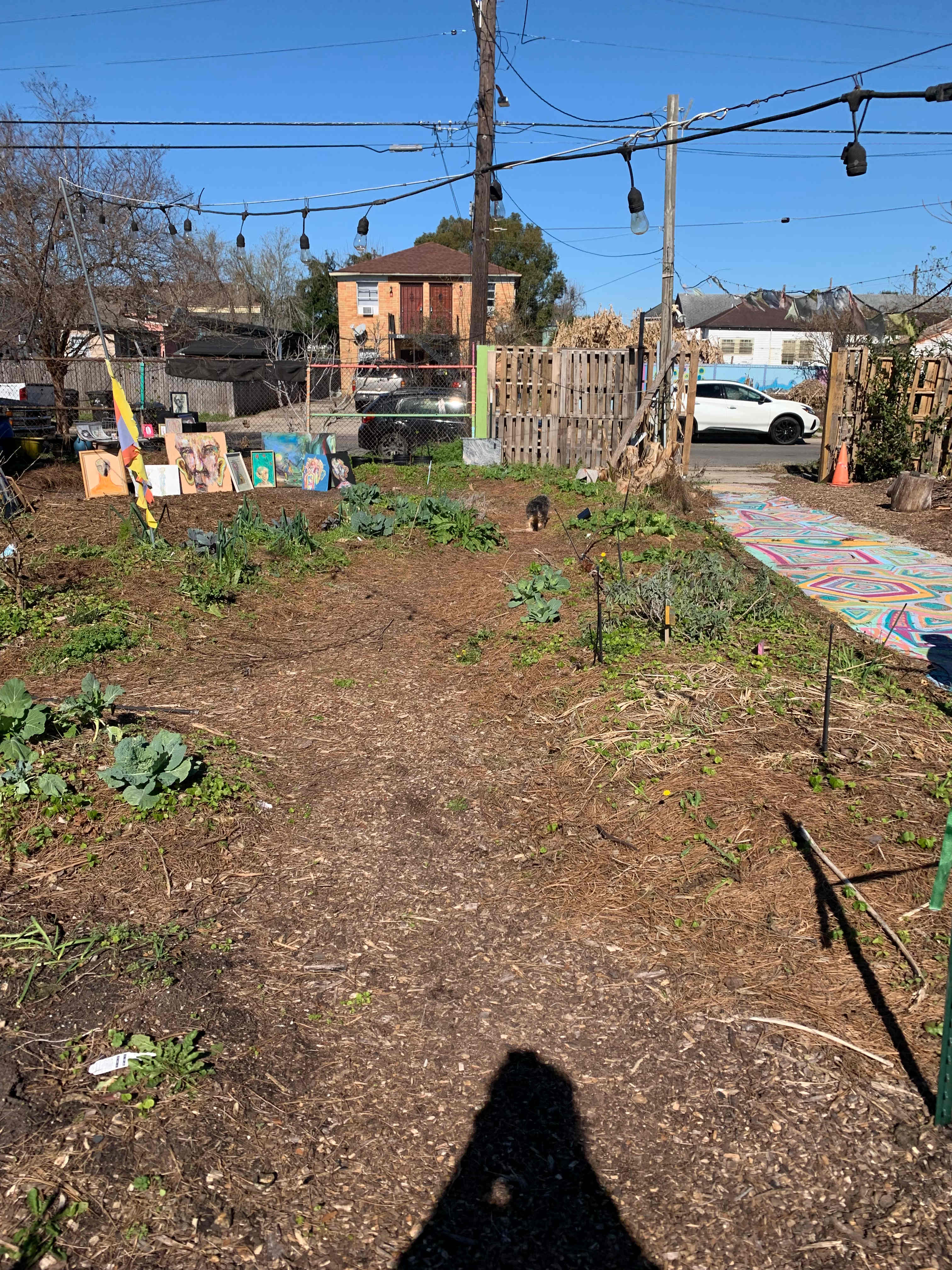 Grow On Urban Farm