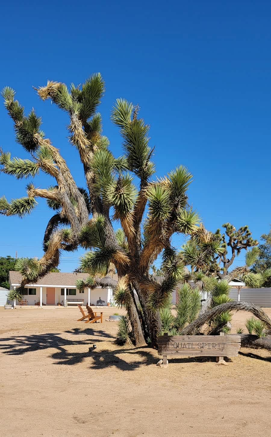 Quail Spirit Homestead