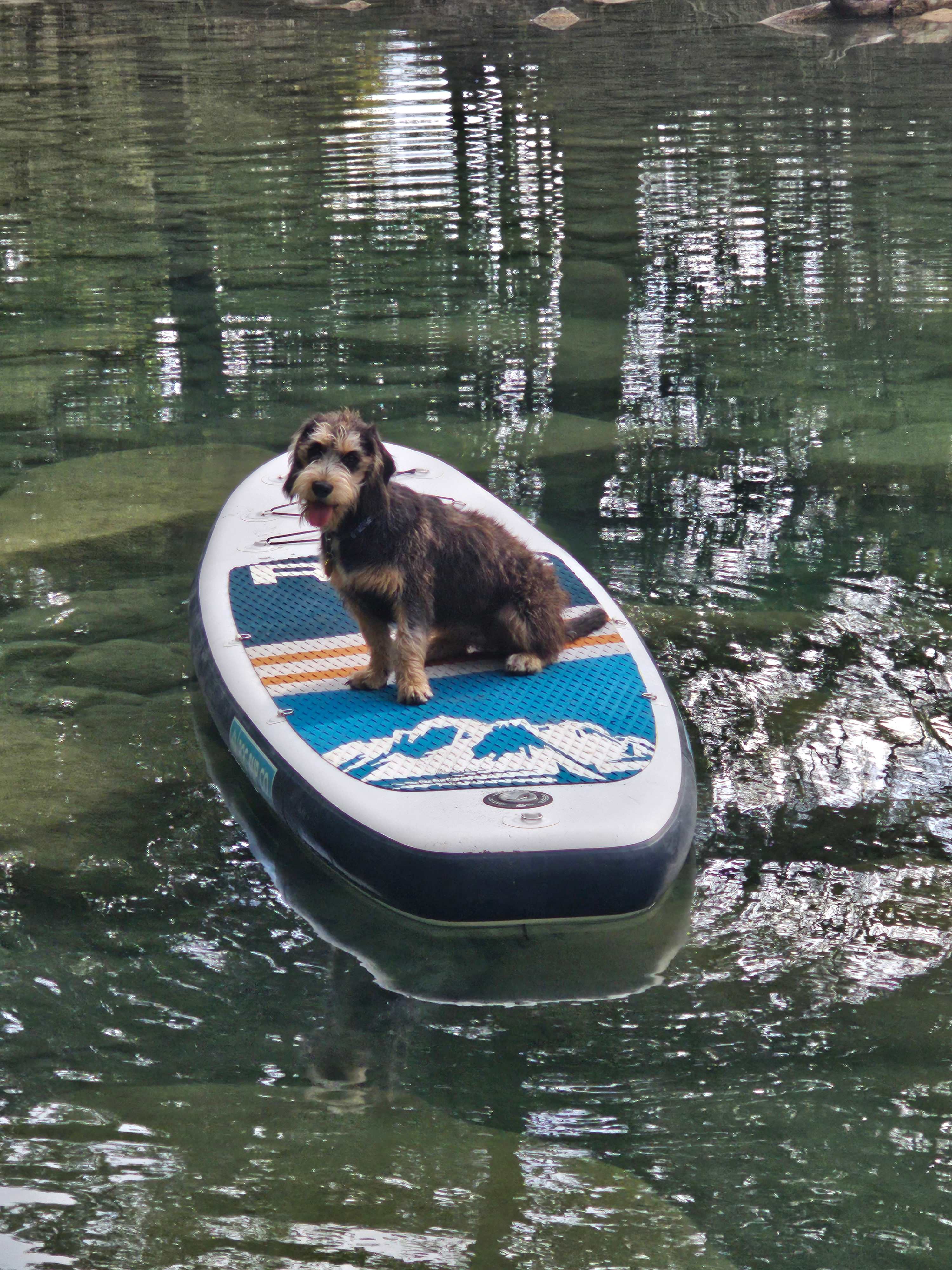 Riverbend On The Frio