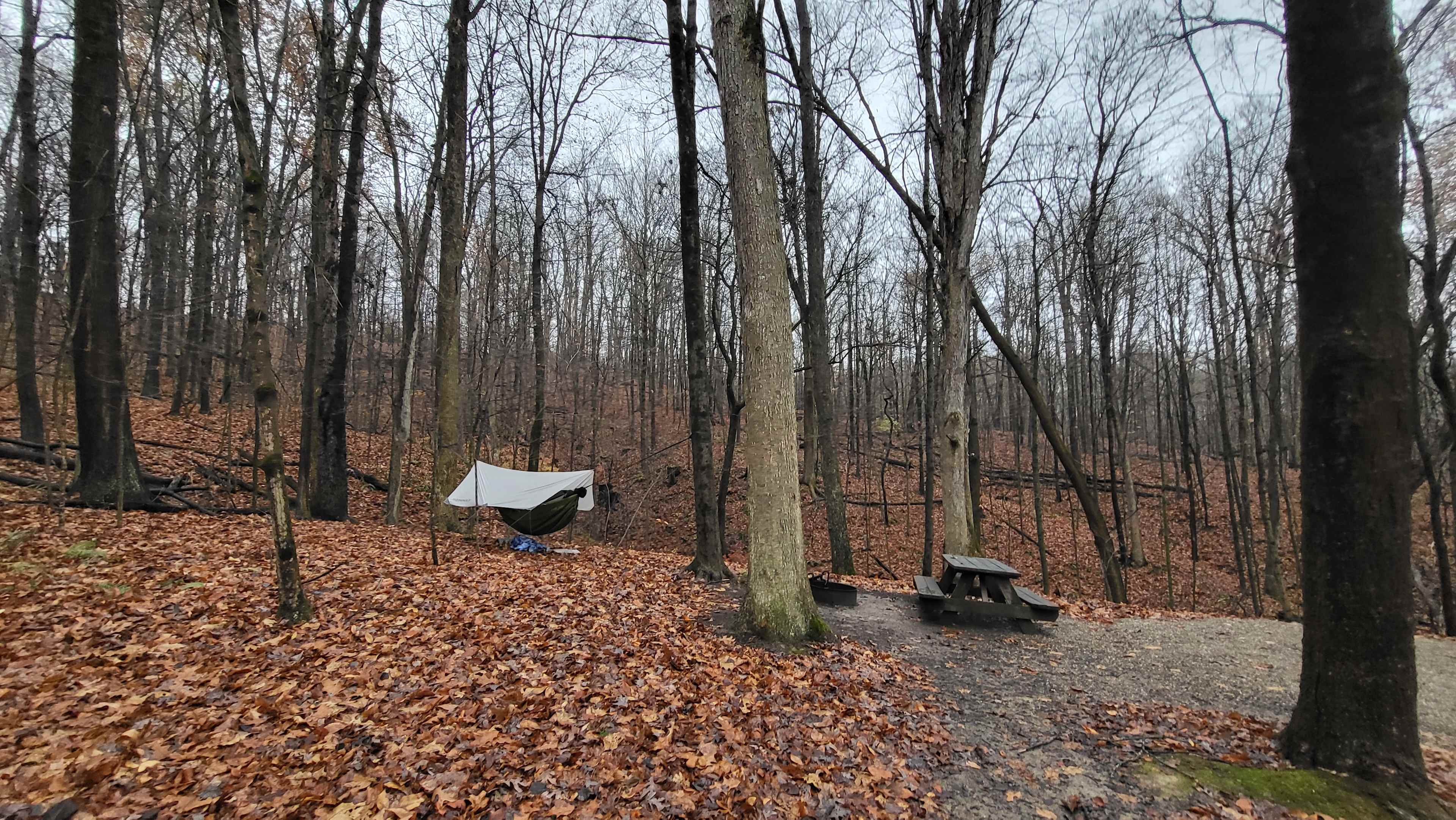 Hammock setup next to campsite