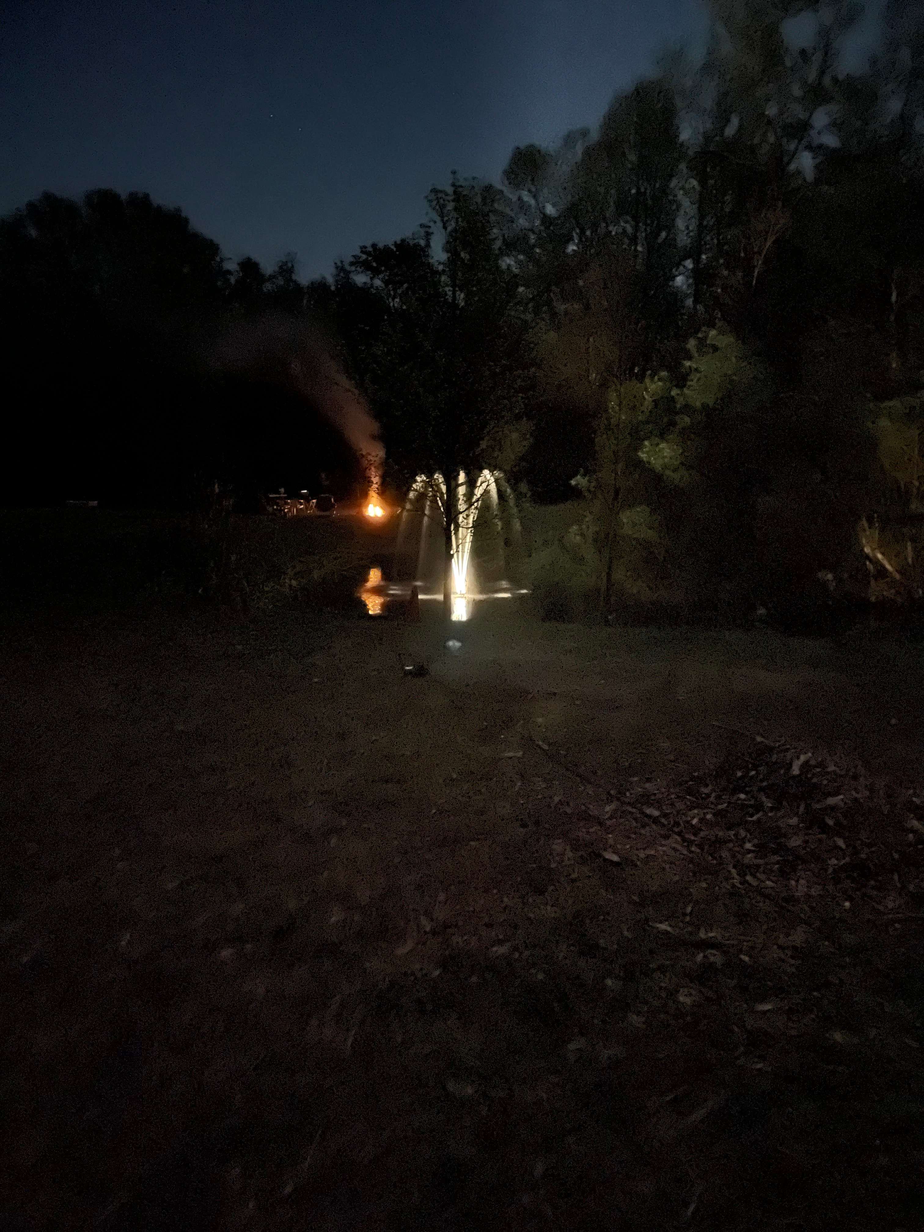 Wild Ways Retreat