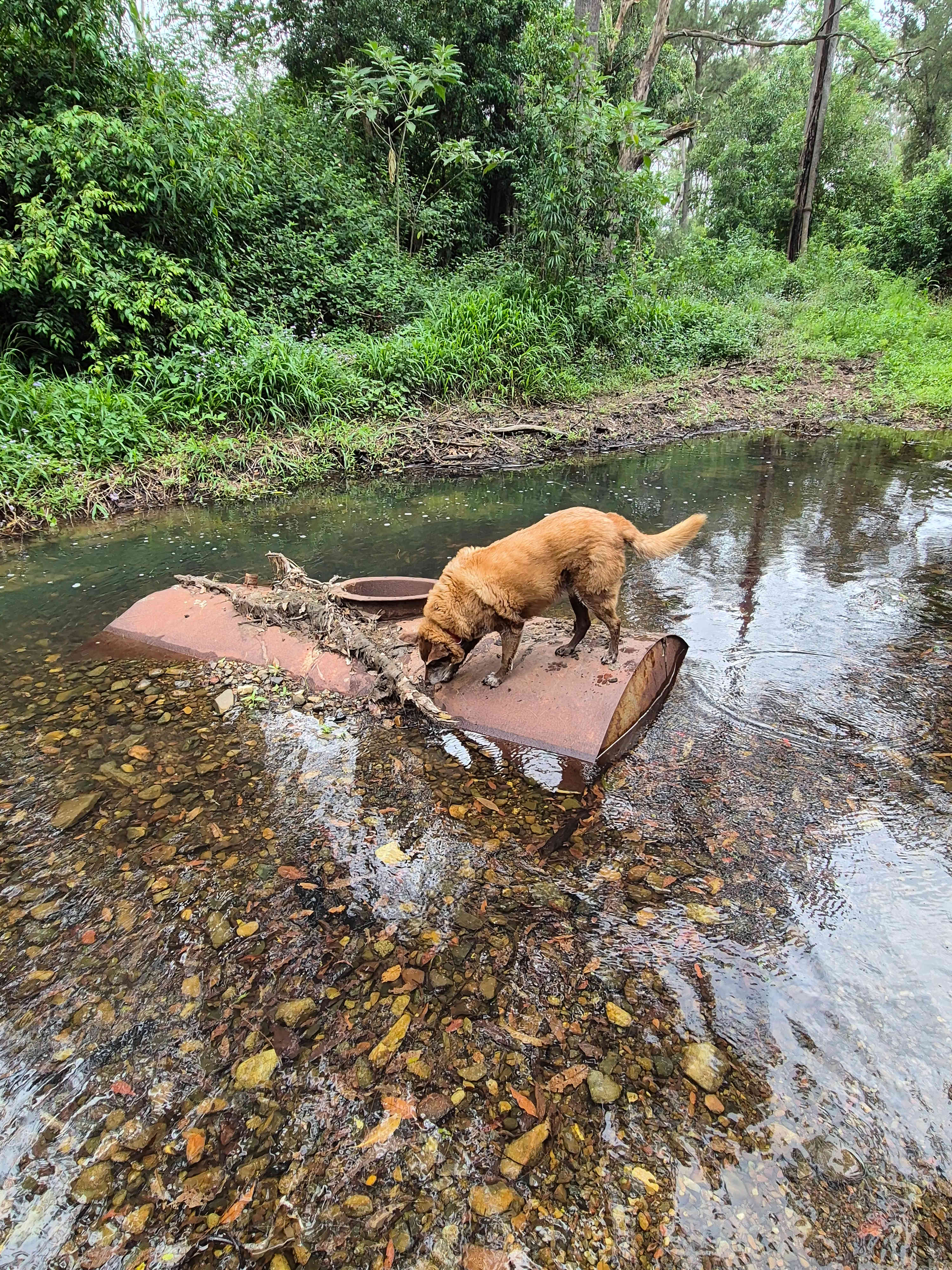 Platypus Creek