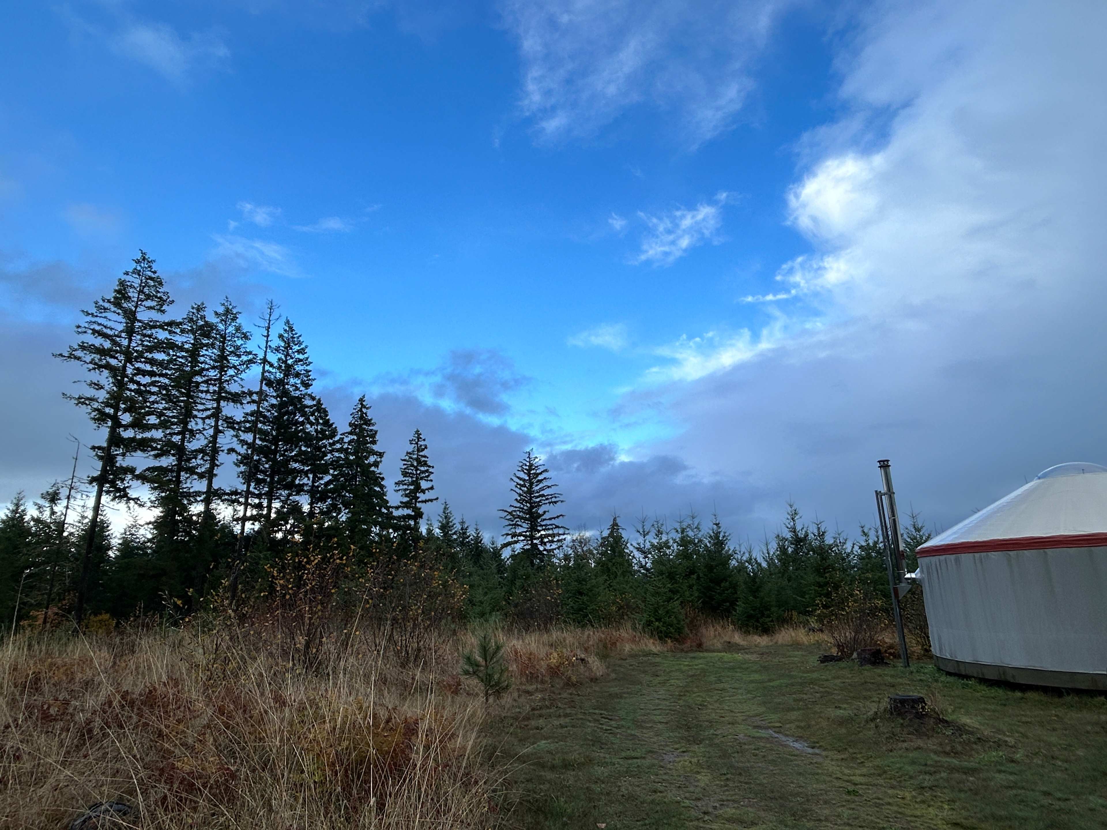 Blue skies before the storm