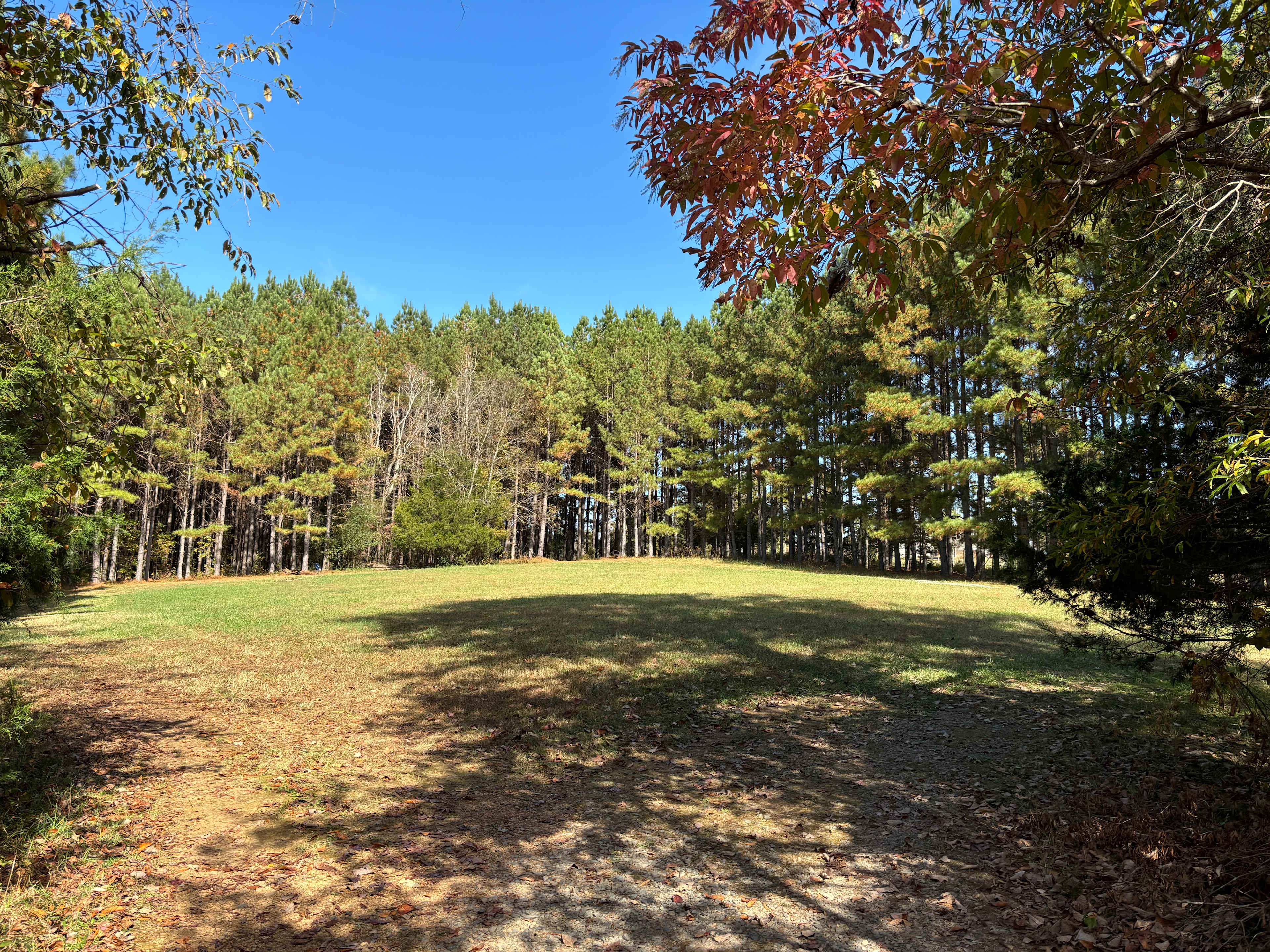 Site