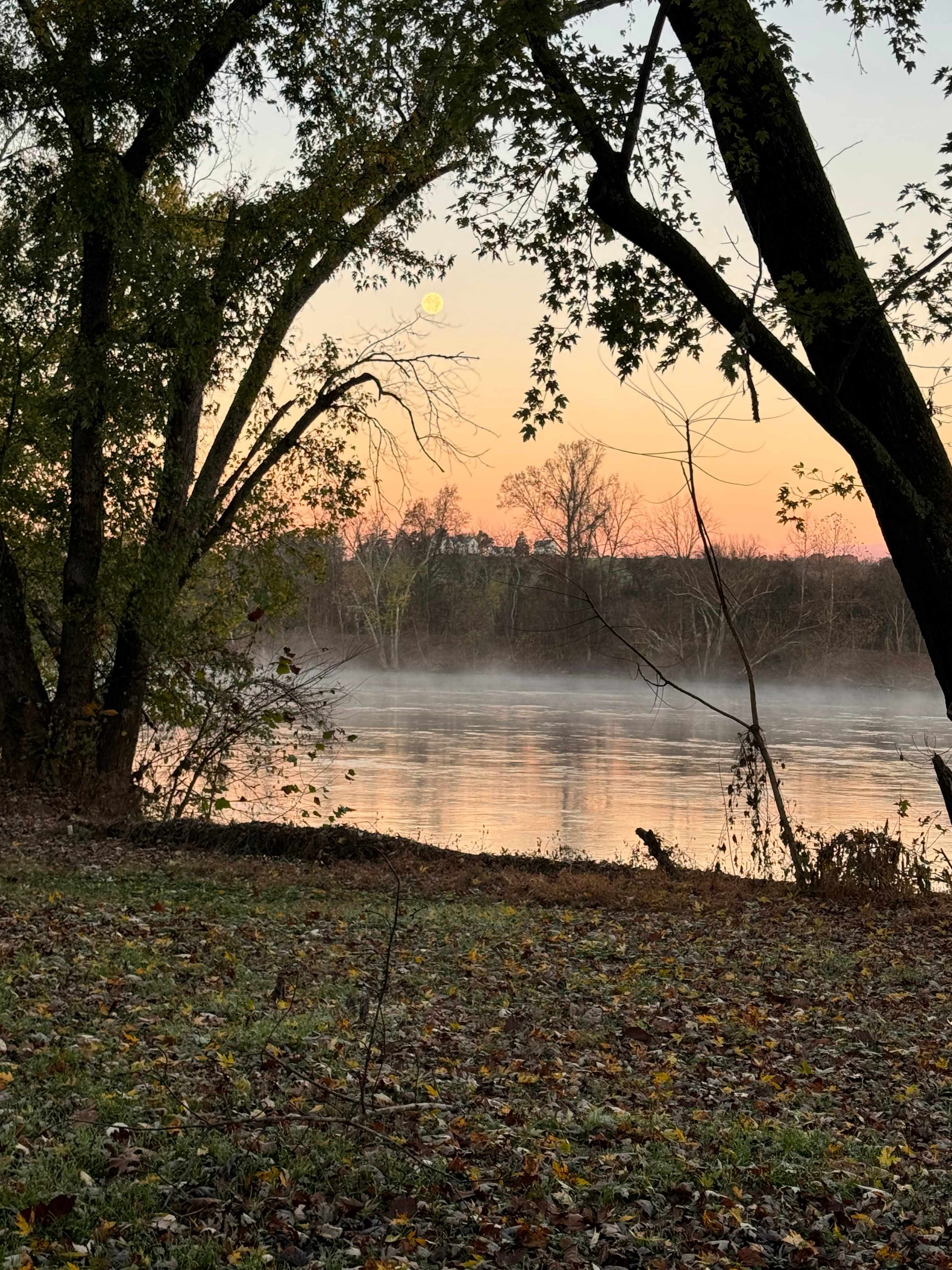 Warren Ferry Landing