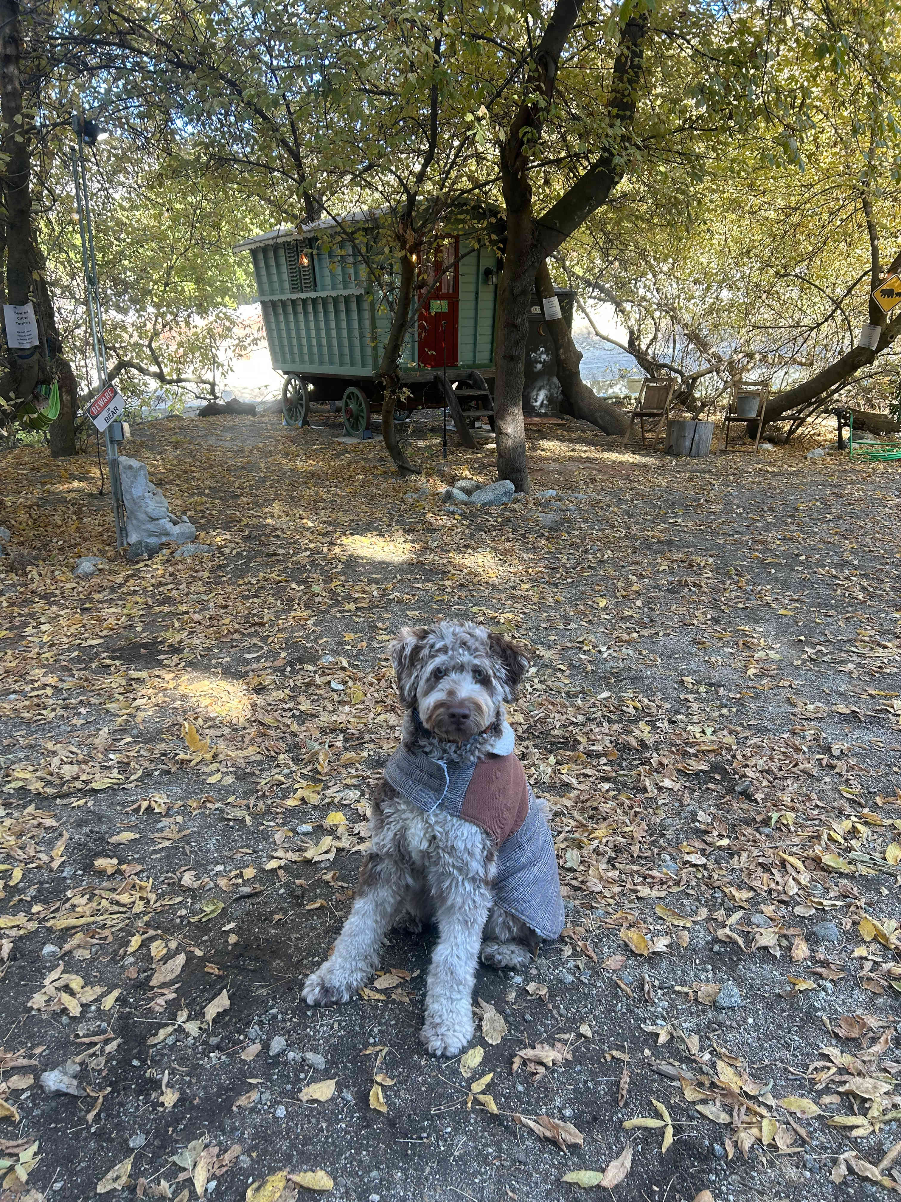 Oak Glen Glamping on Apple Orchard