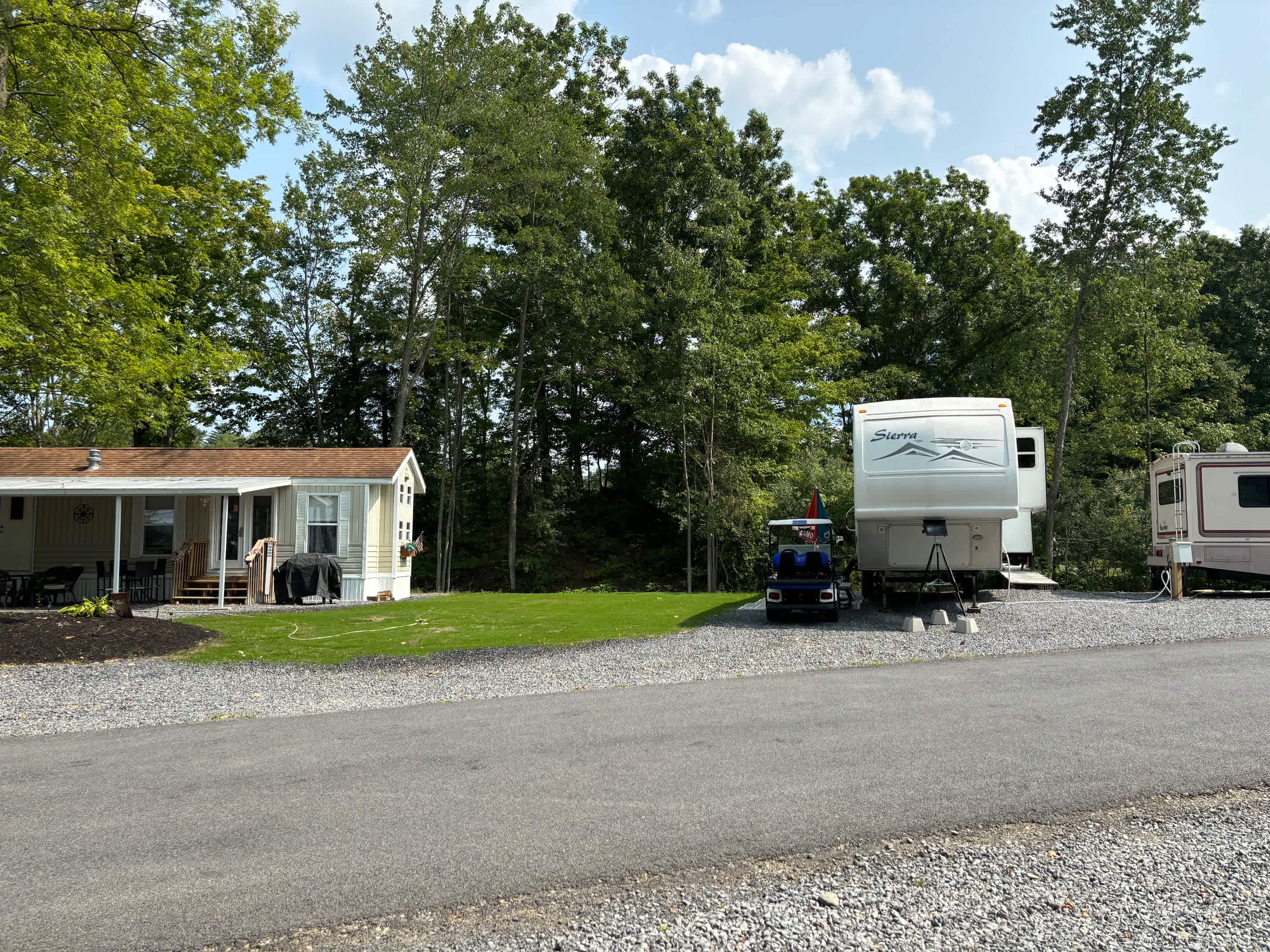 Picture of the site