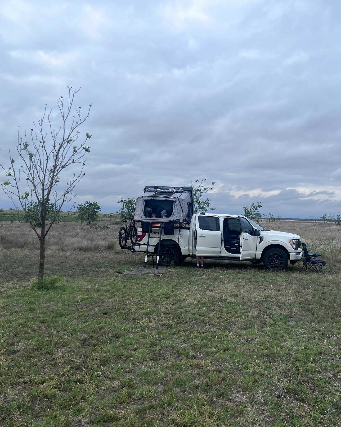 Pecan orchard
