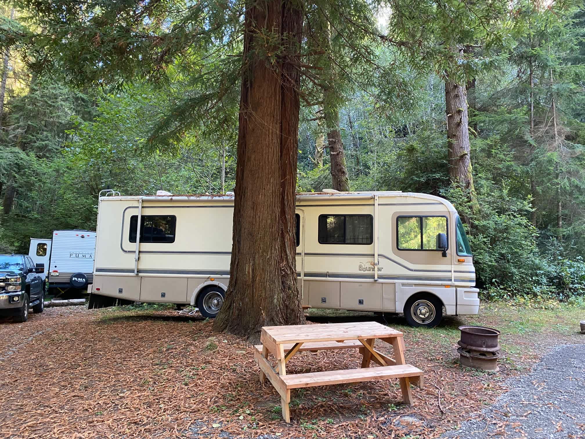 Mystic Forest Campground