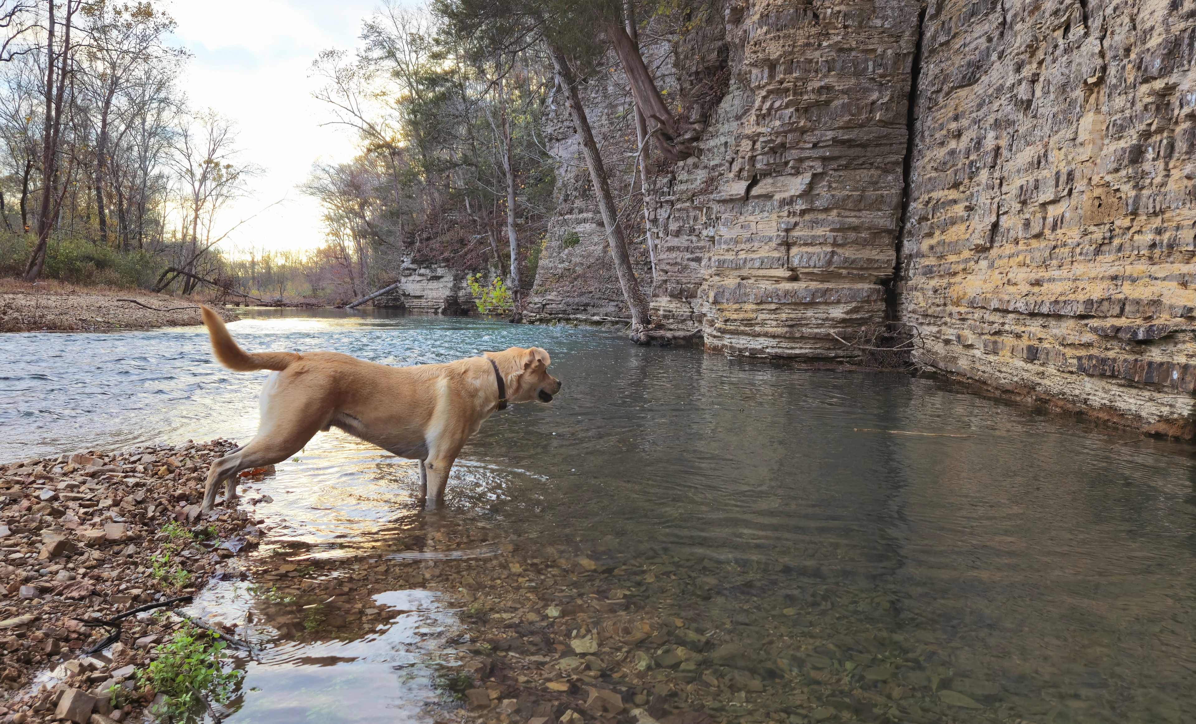 The Bluffs At Tumbling Creek