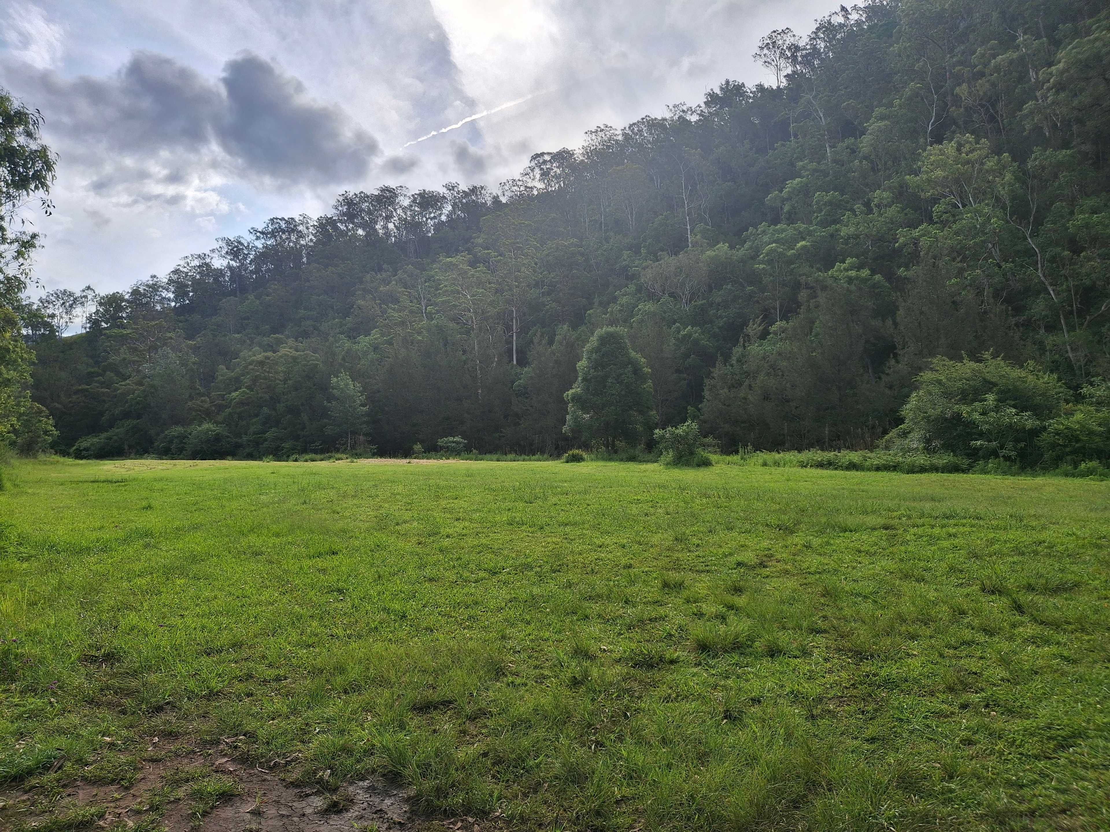 Figtree Farm at Findon Creek