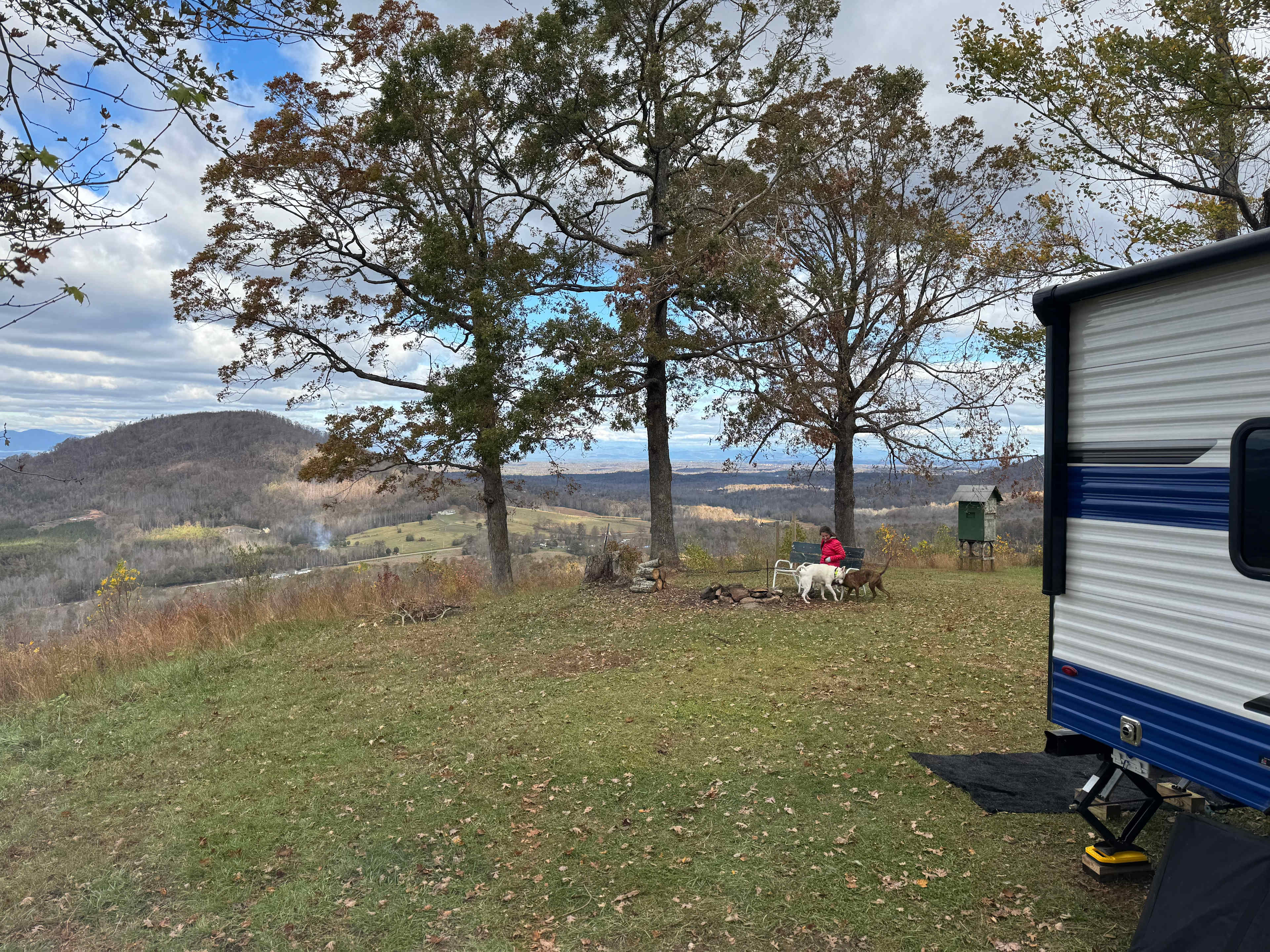 Bolin Knob Meadows