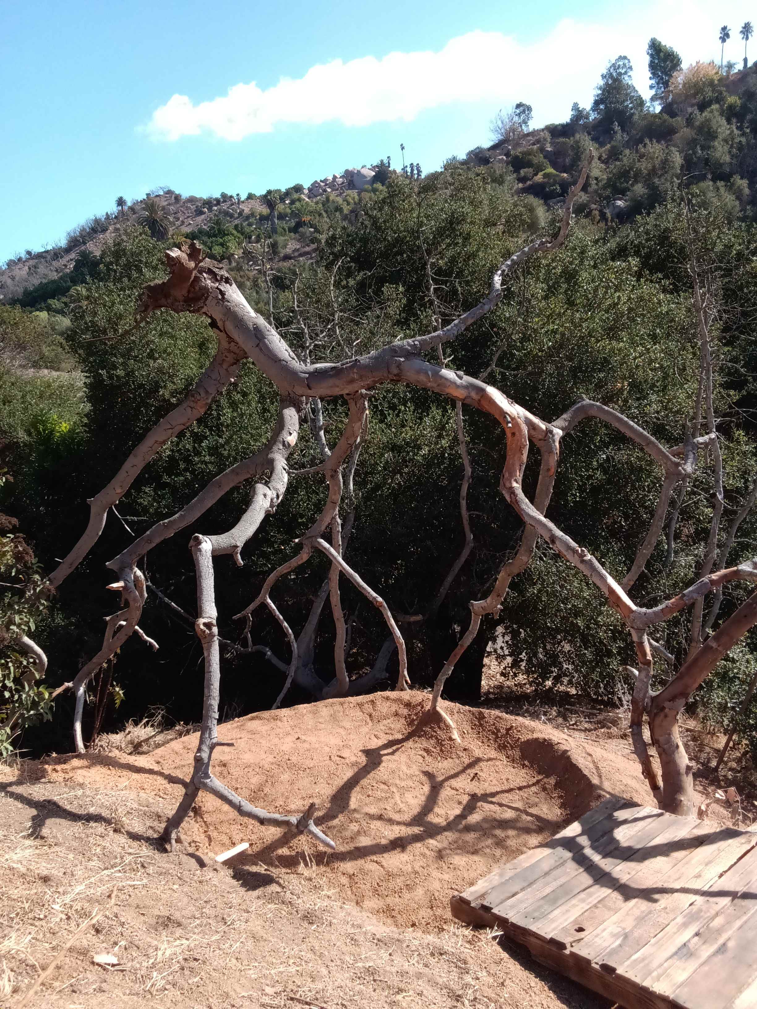 Detour n De Luz Fallbrook San Diego