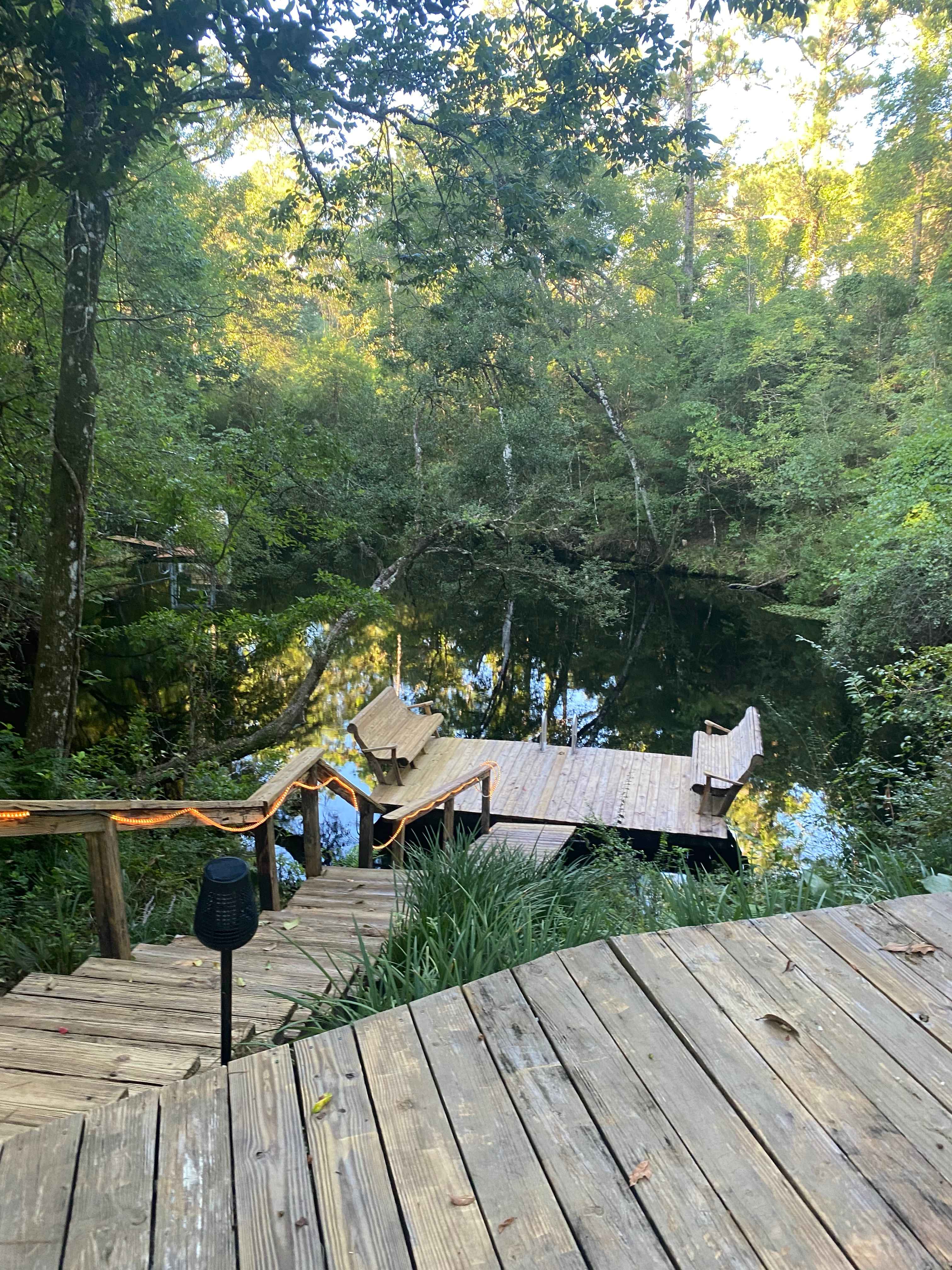 Spring Oasis