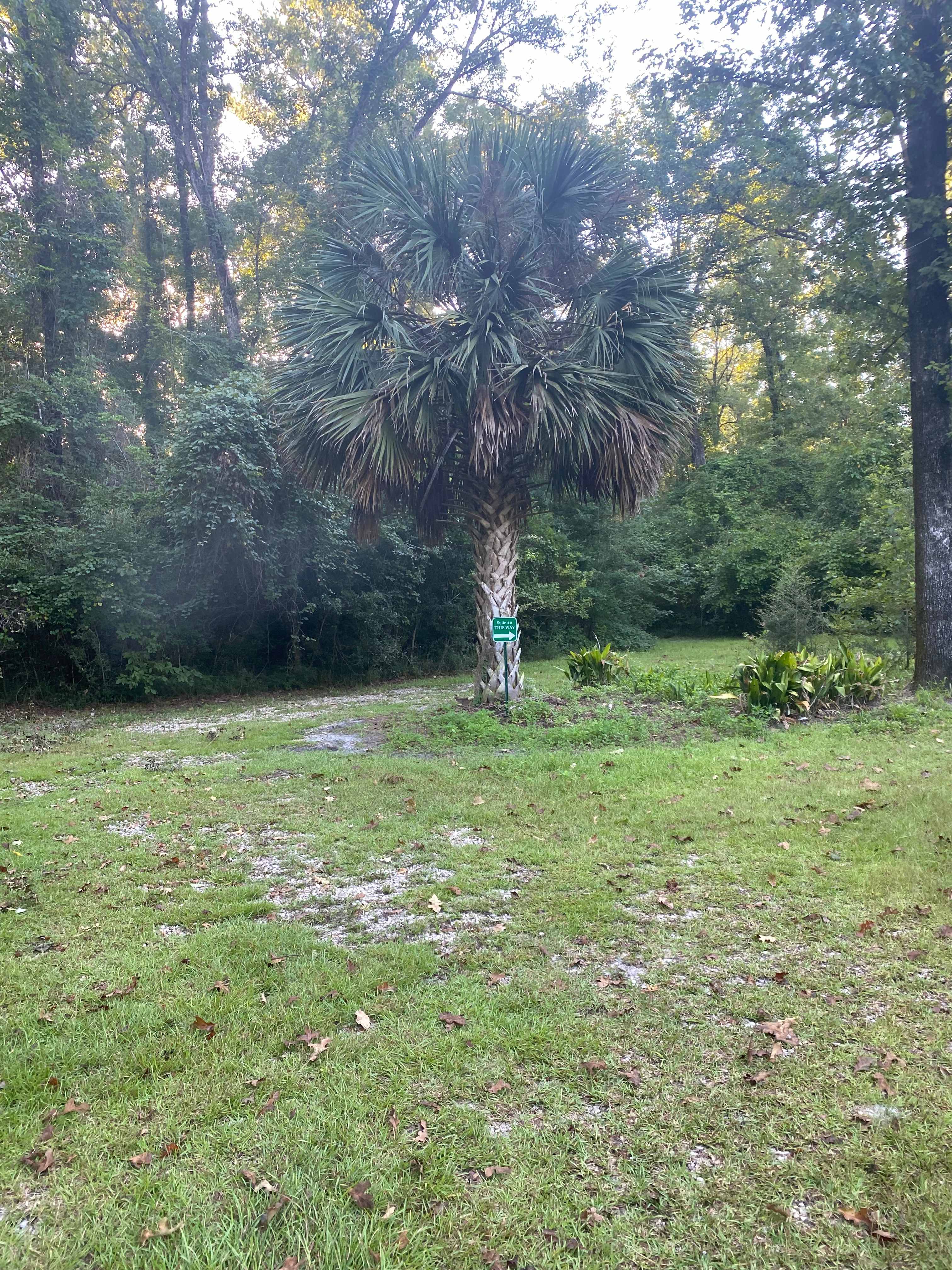 Spring Oasis