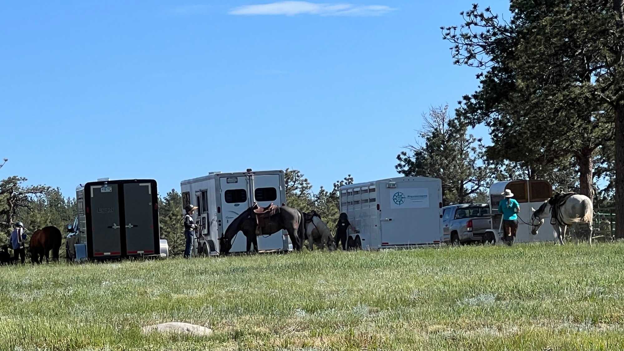 M Lazy C Ranch