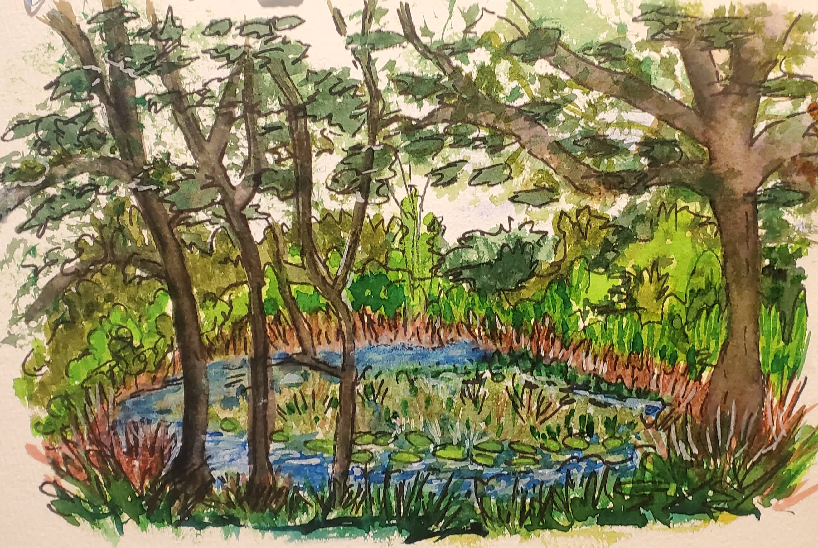 I painted my view of the pond.
