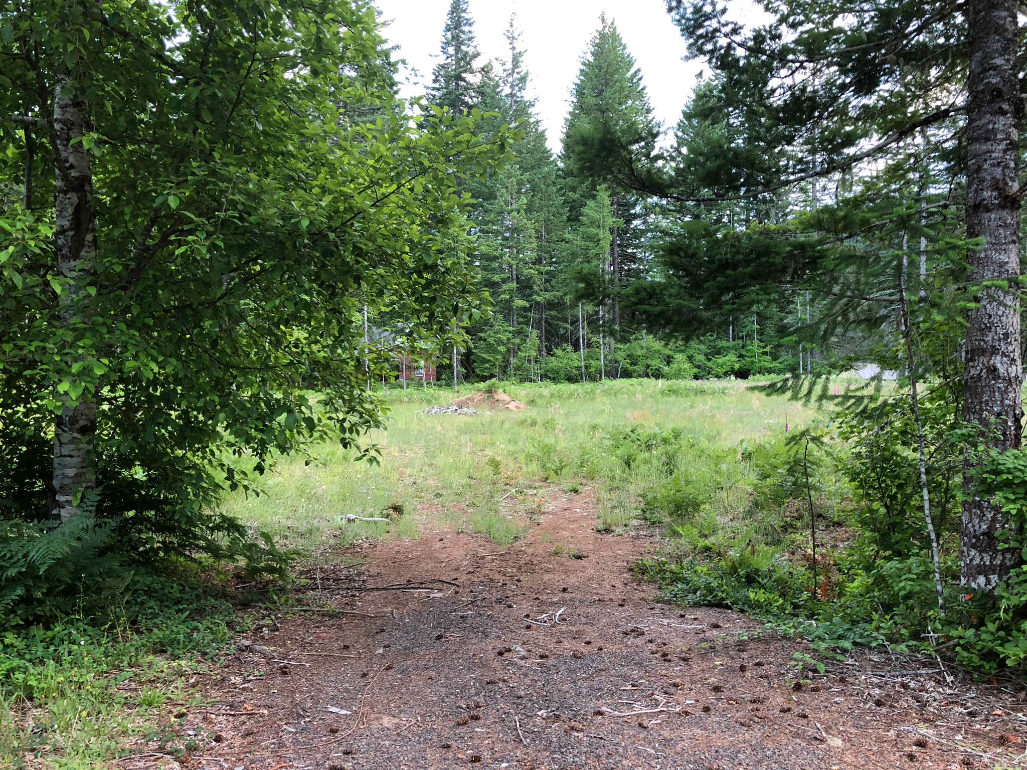 Martha Creek Base Camp