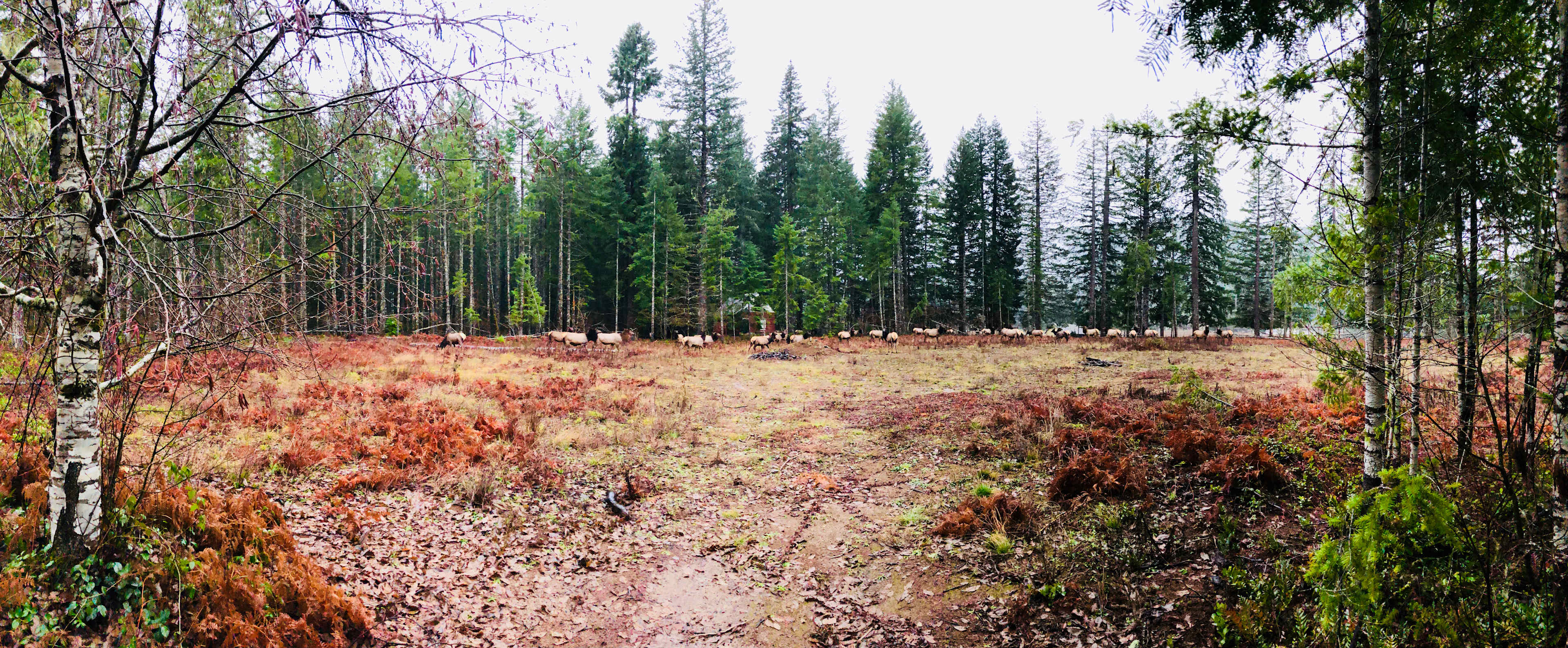 Martha Creek Base Camp
