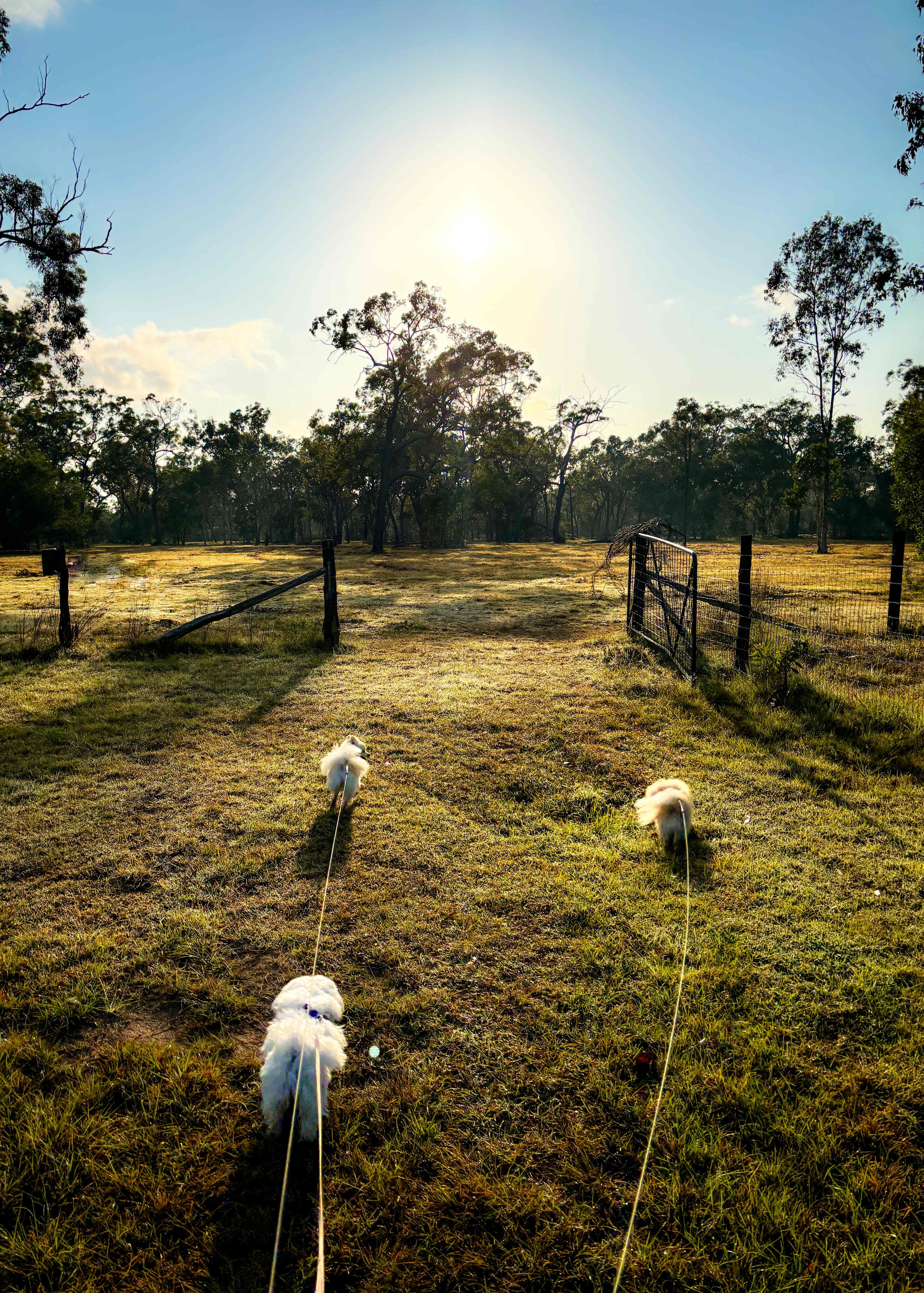 Lenlie Farm