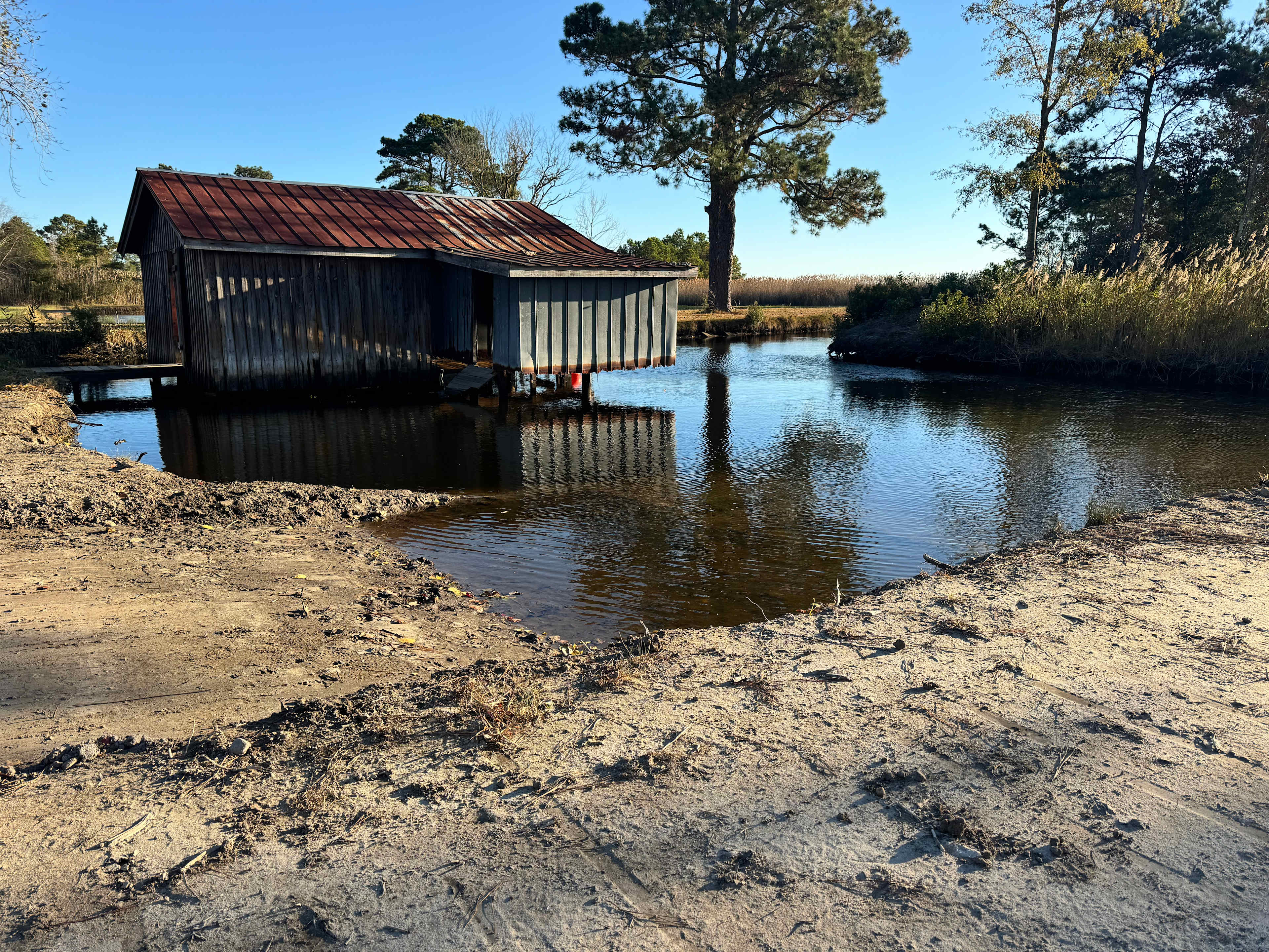 Picture of the site