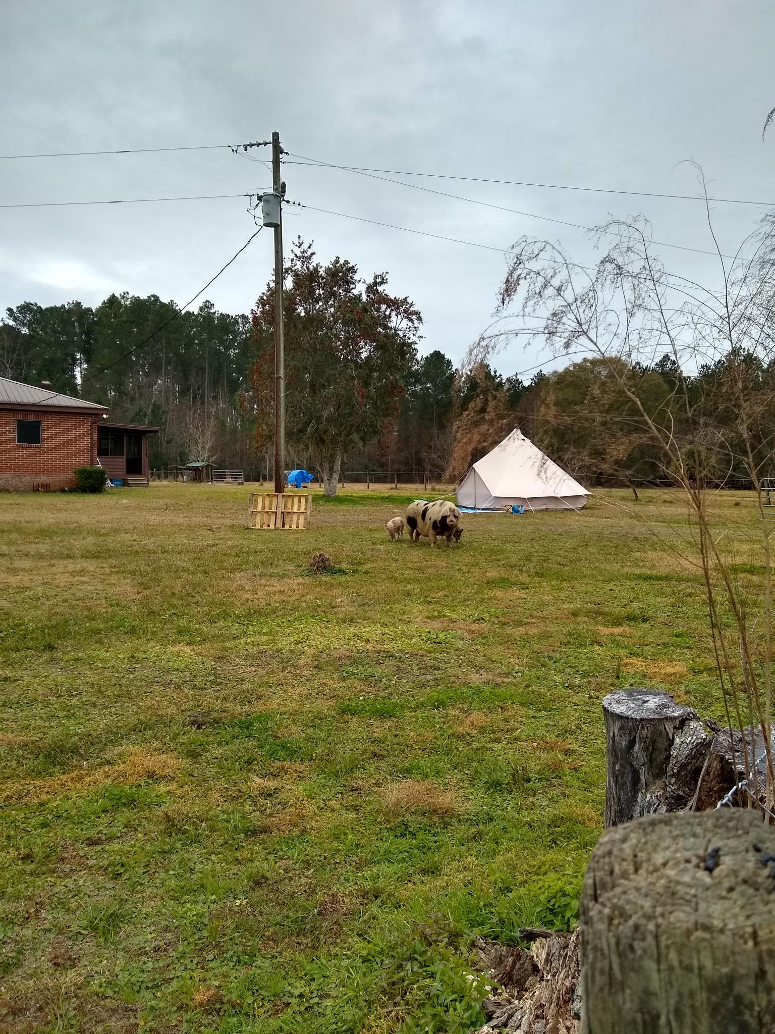LaLaLand Farm