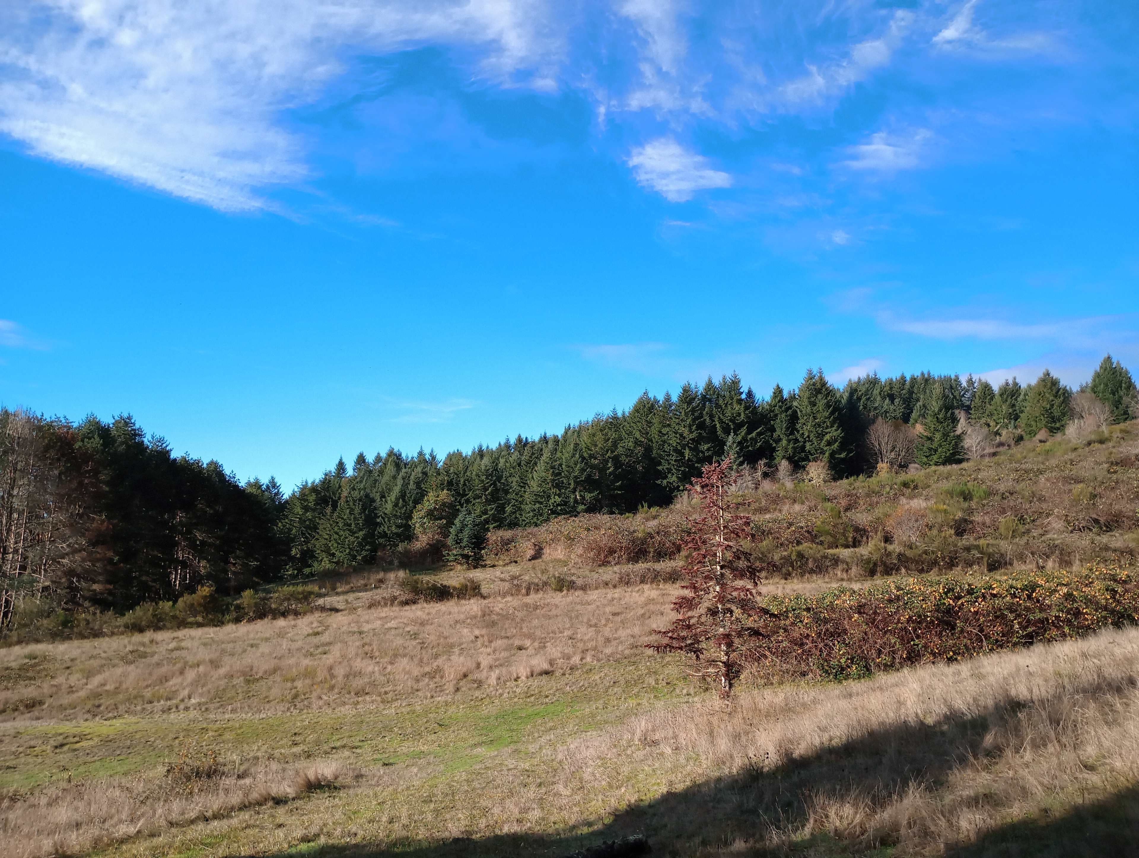 Woodland Hills Ranch