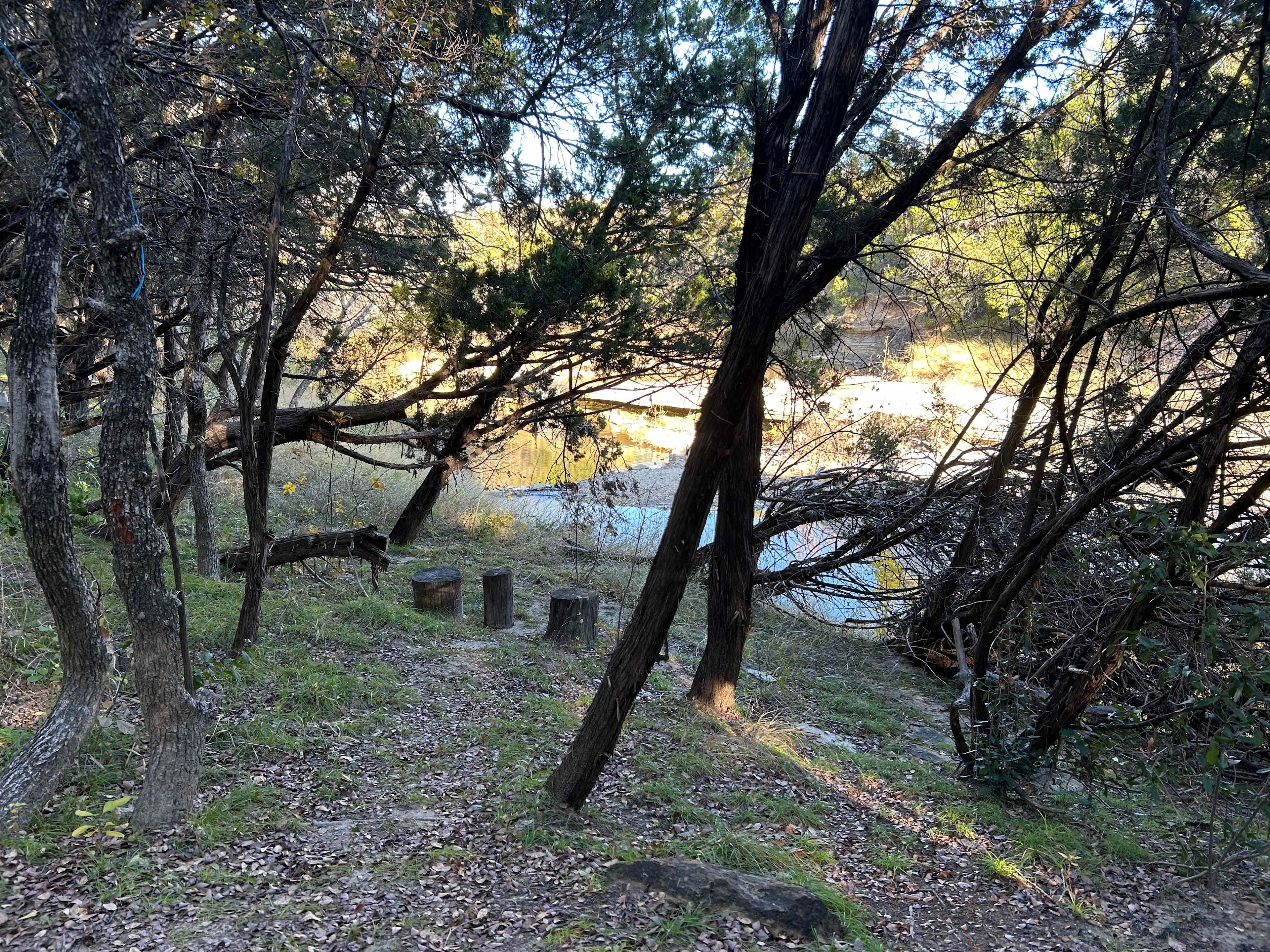 Picture of the site