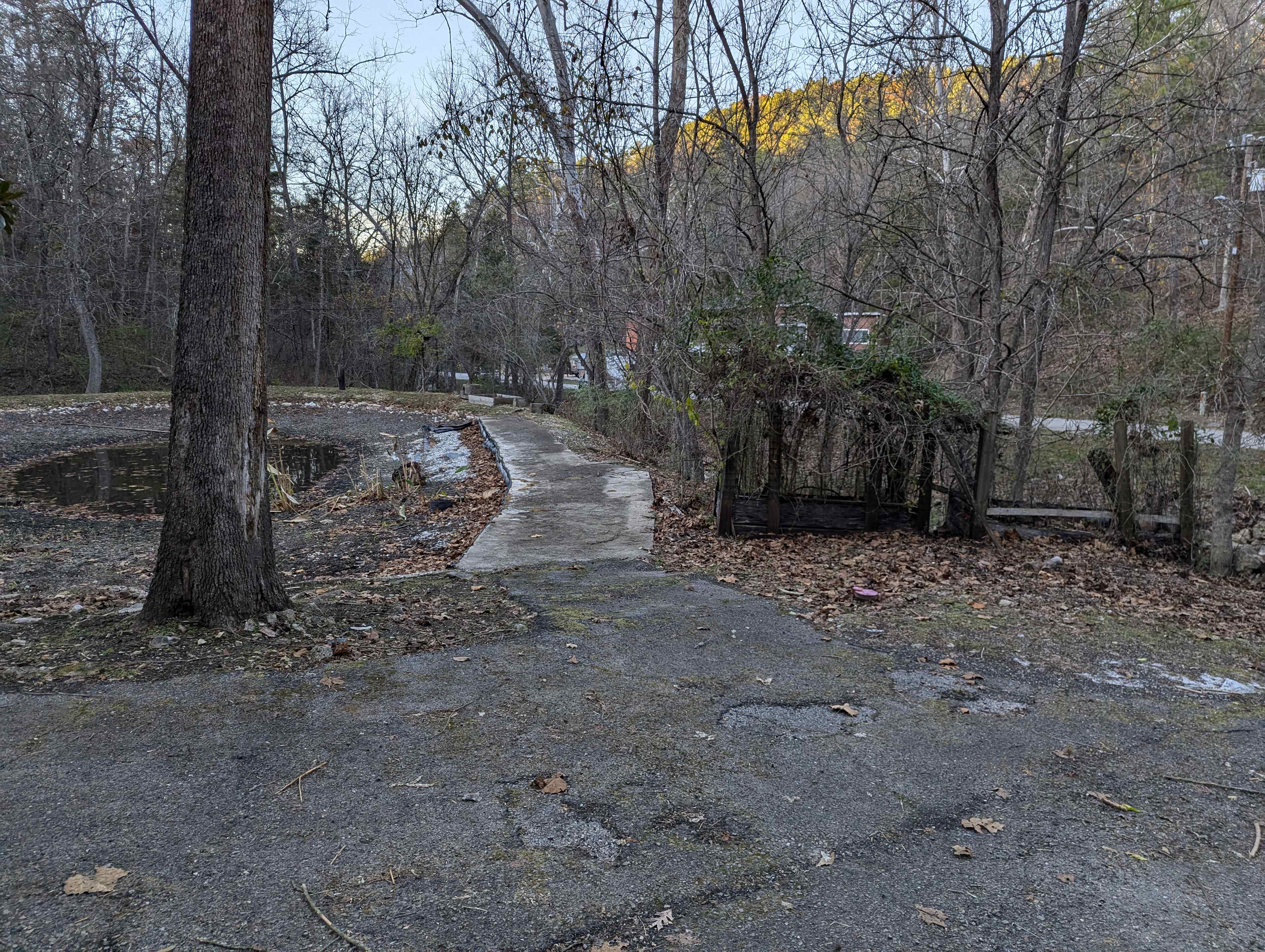 Picture of the site