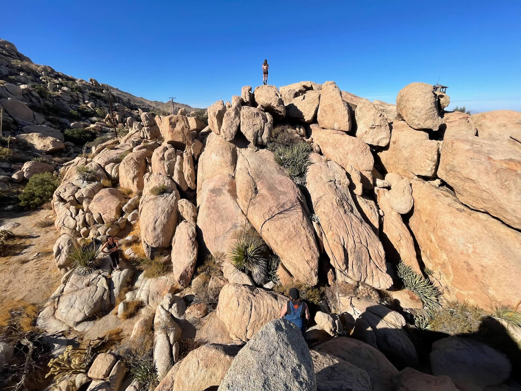 The Desert View Tower