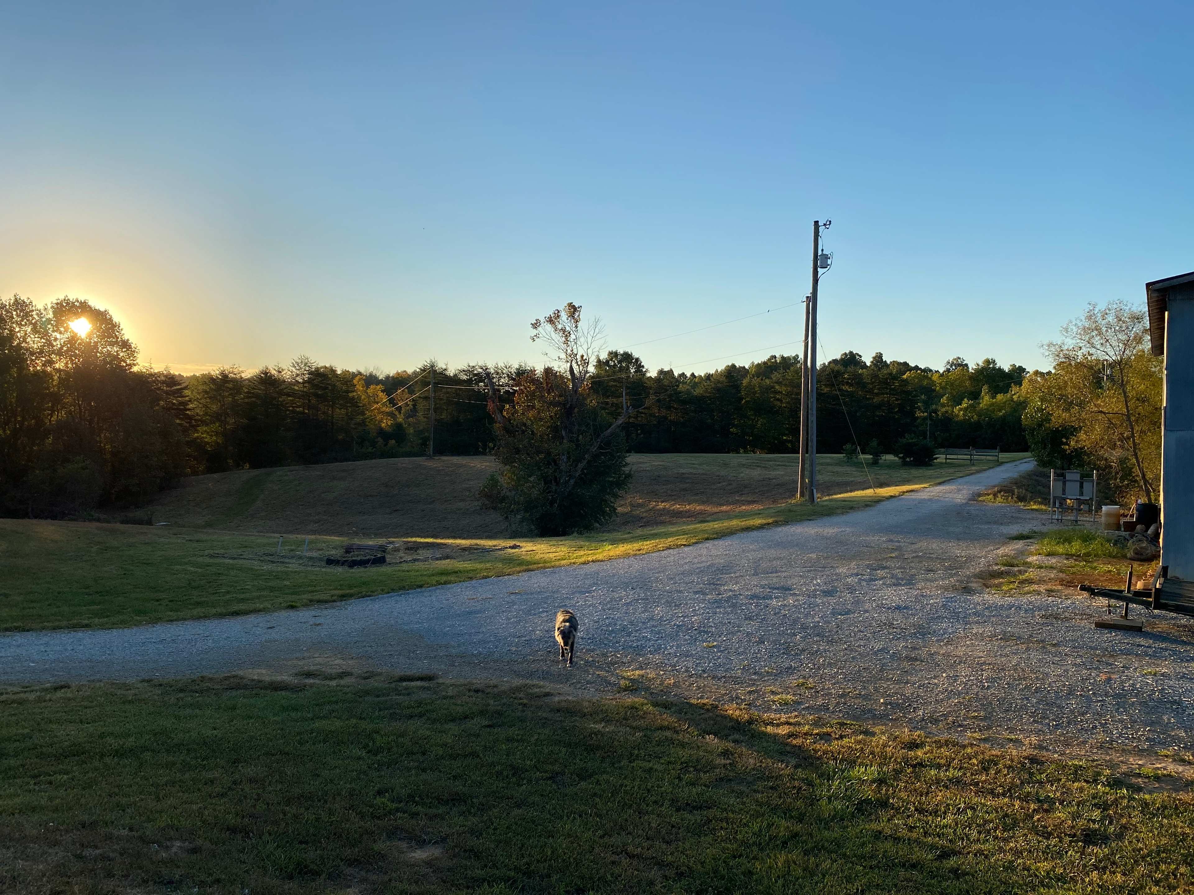 Picture of the site