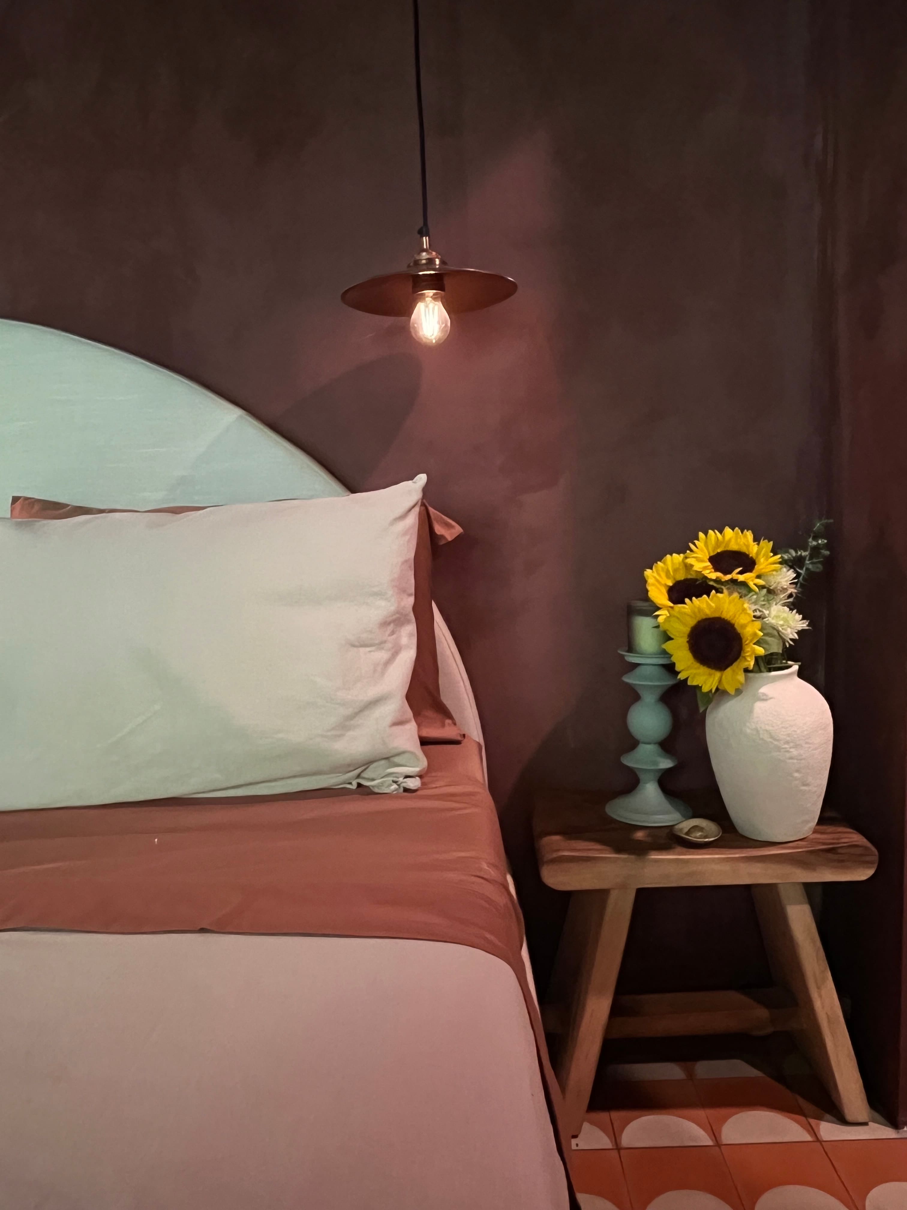 Pet Friendly Rain Forest Cabin 🌿