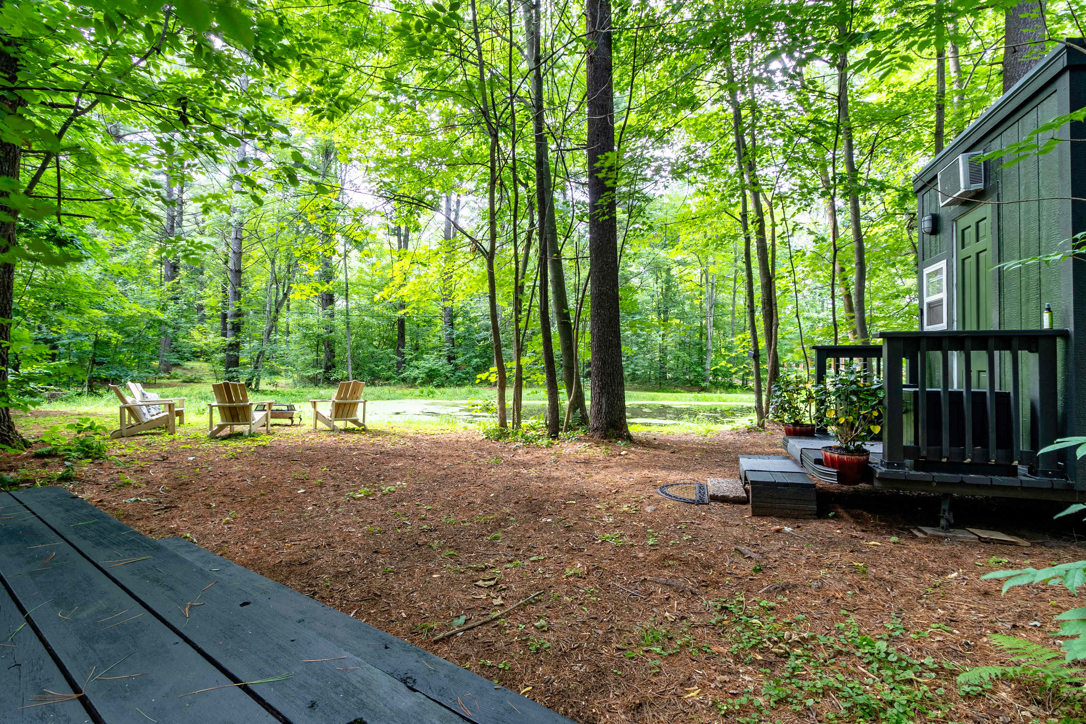 Picture of the site