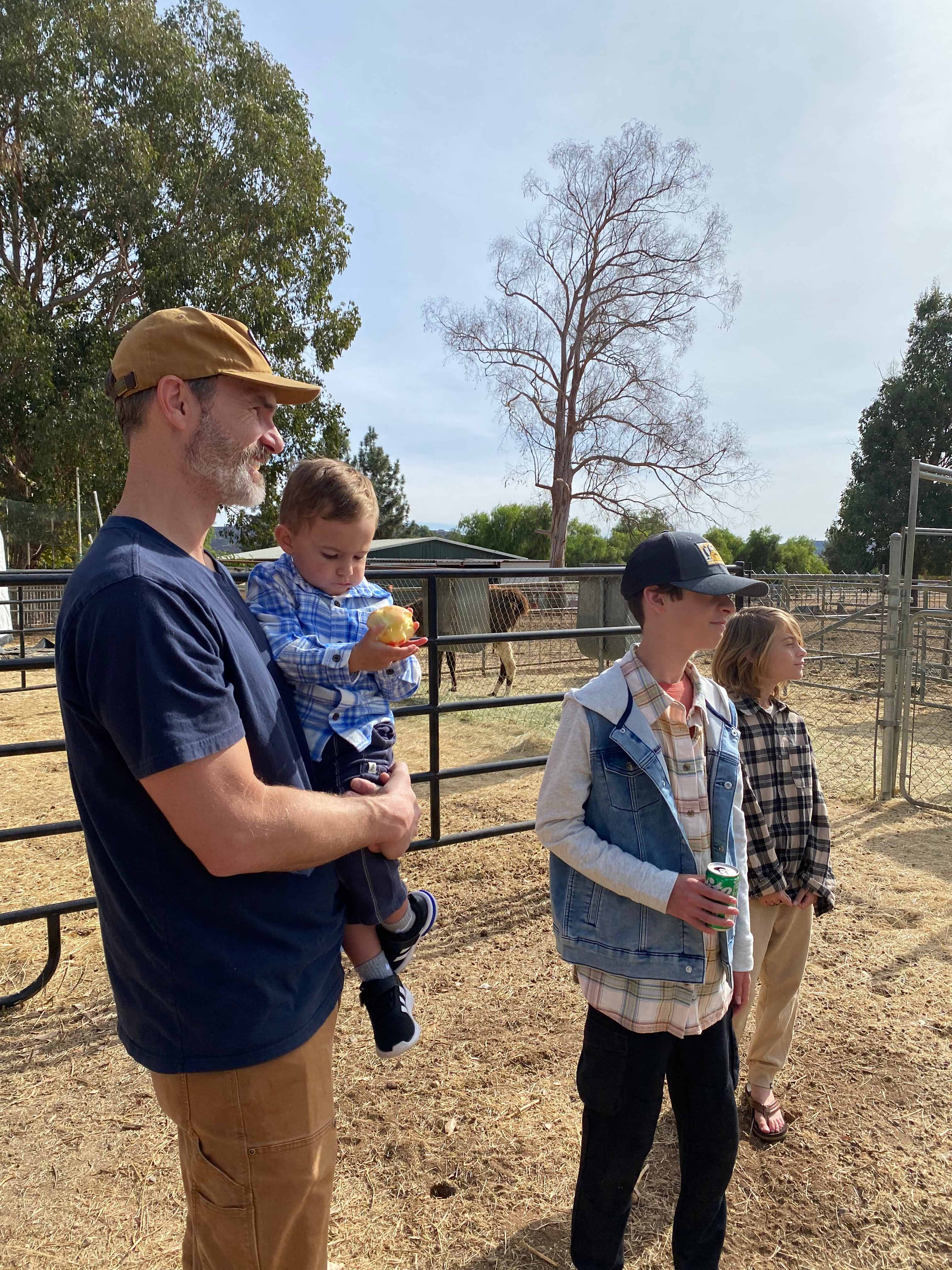 Black Mountain Llama Farm