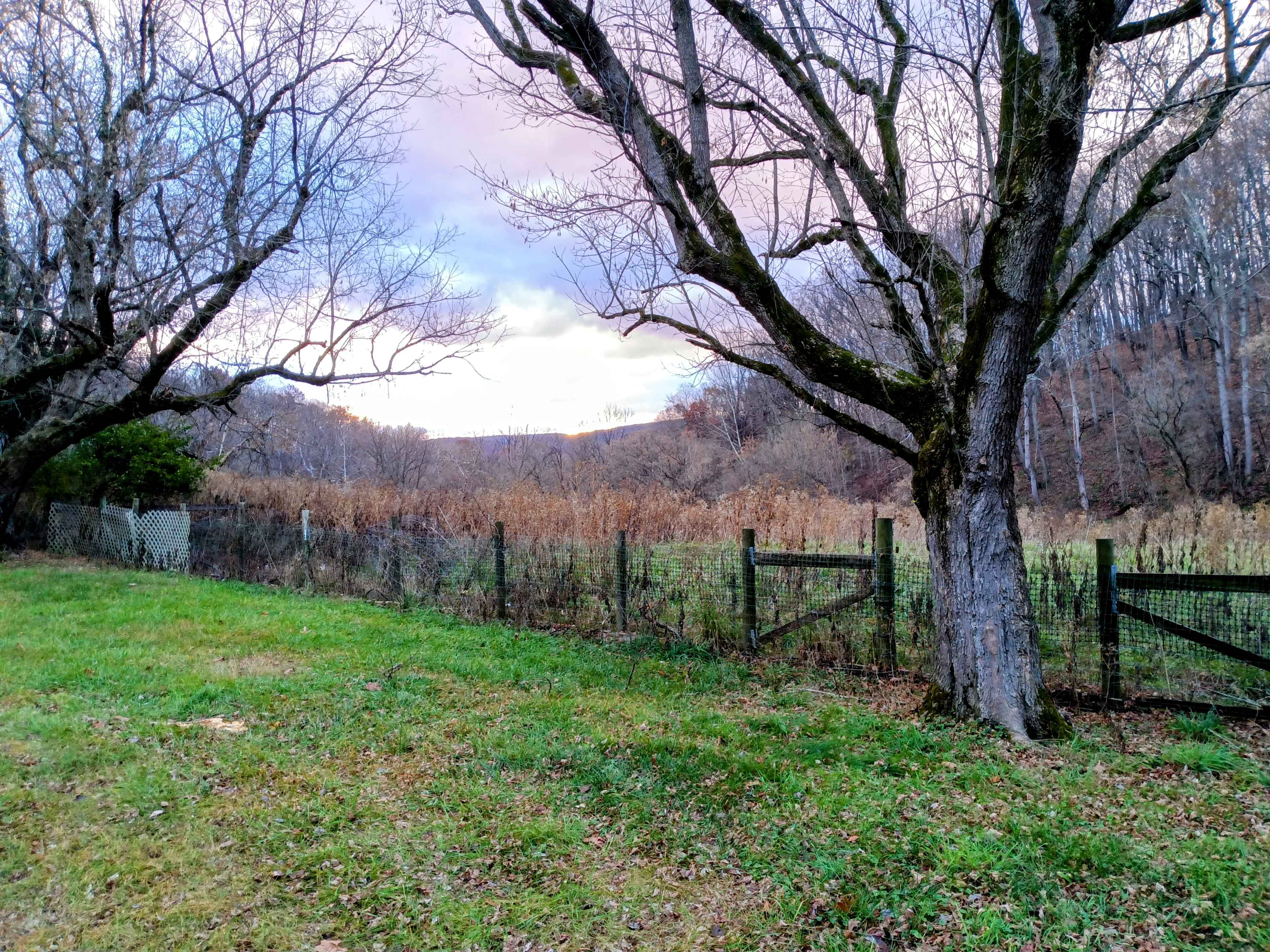 Chilly Hollow Camp