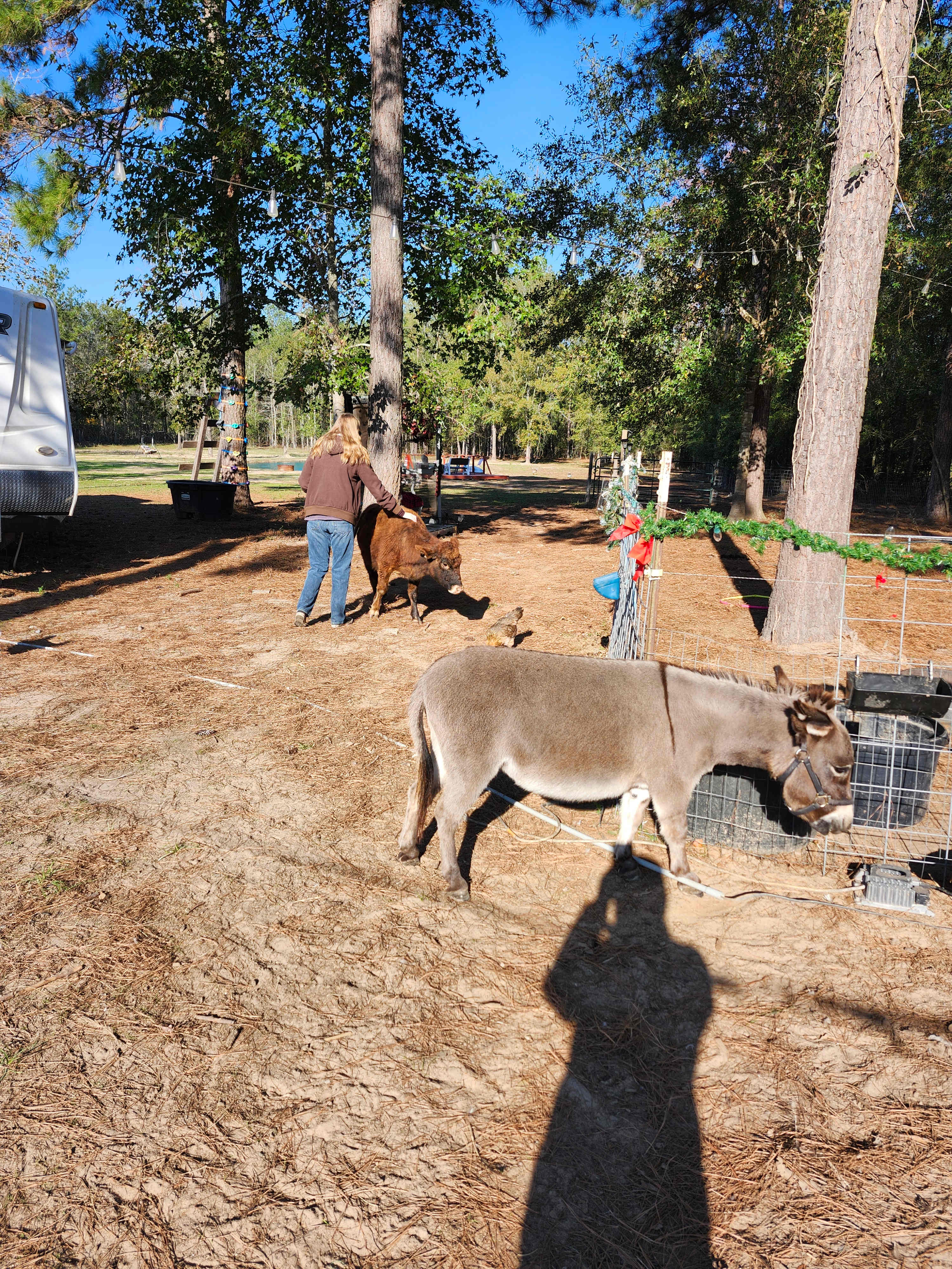 Big City Little Farm
