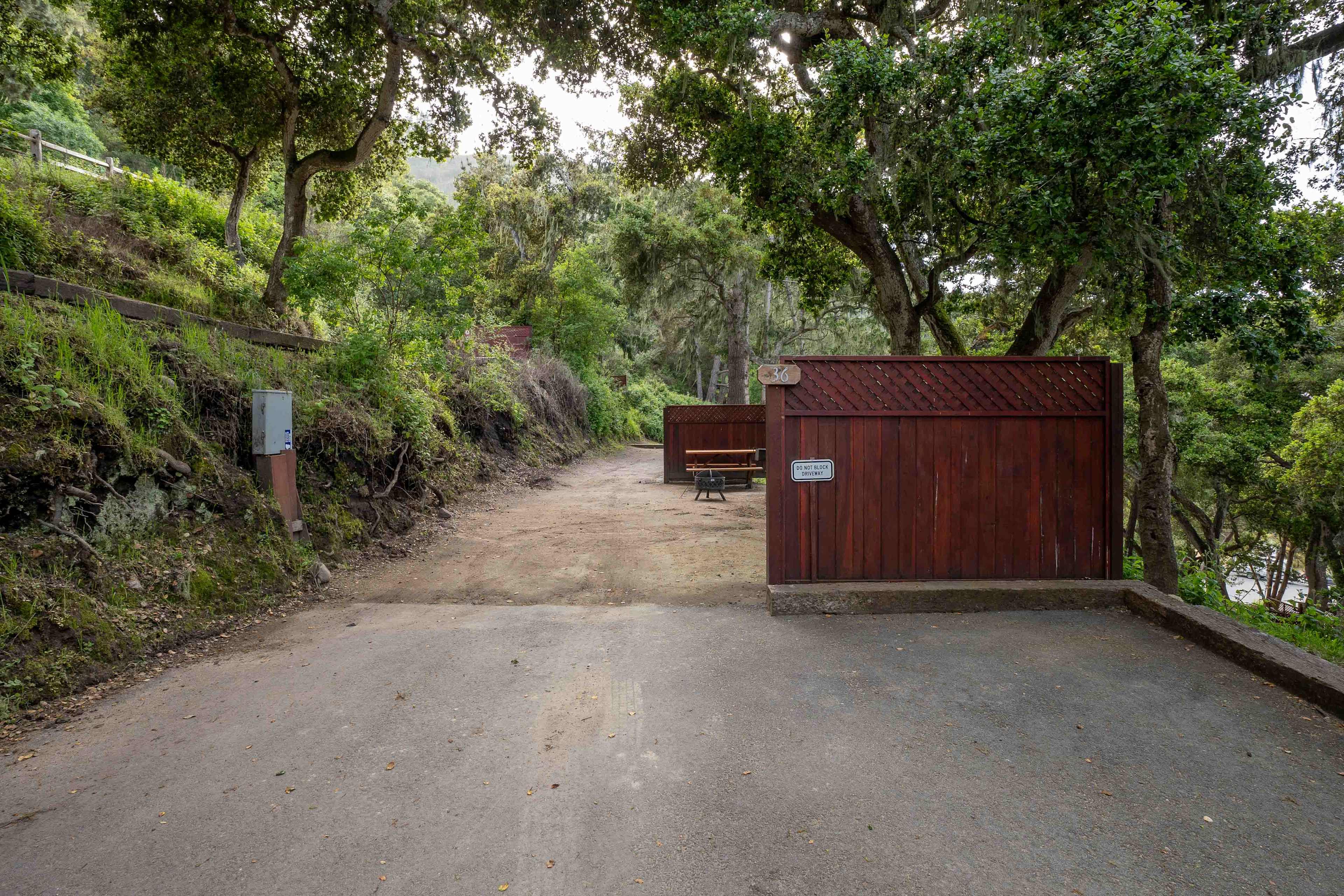 Picture of the site