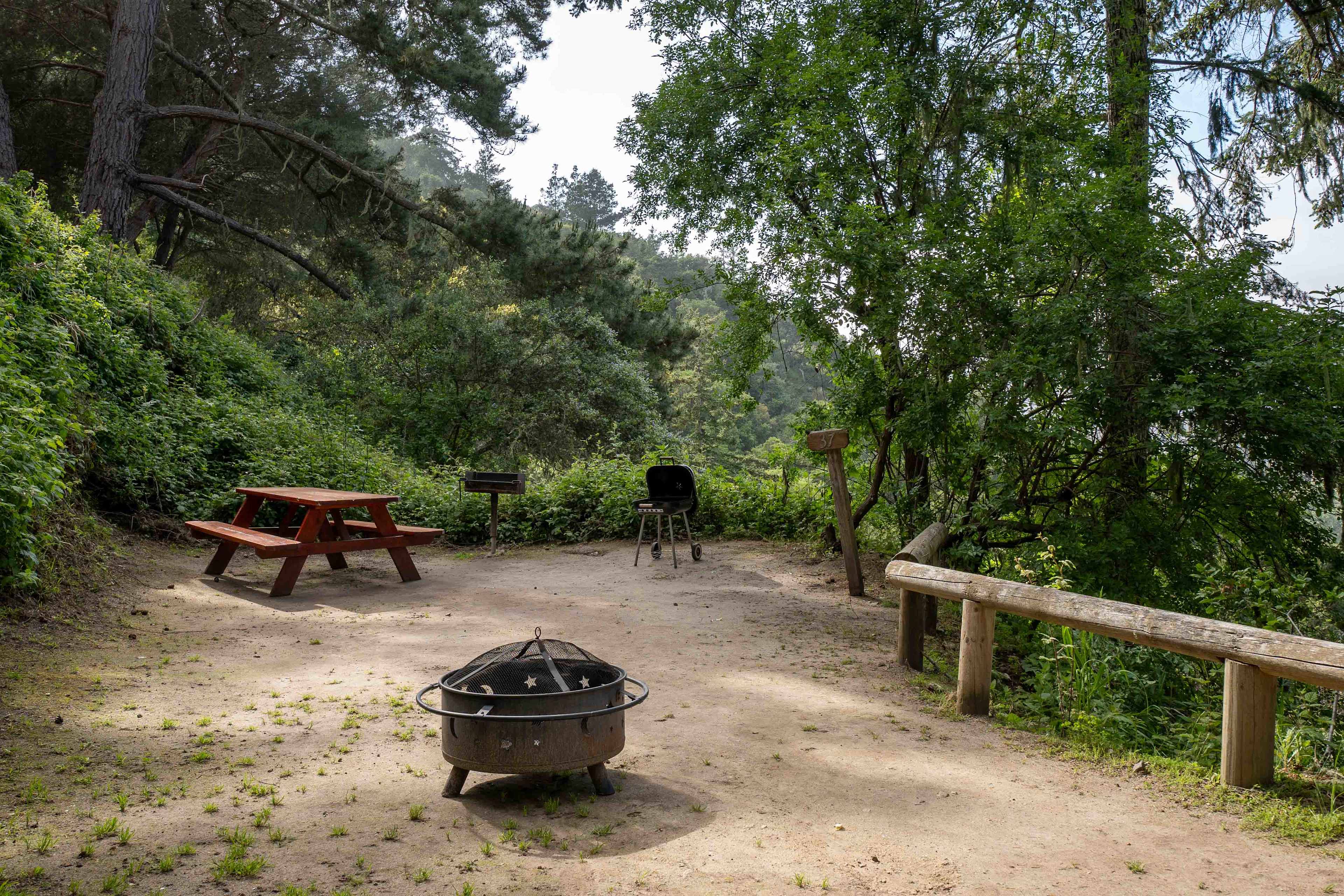 Picture of the site